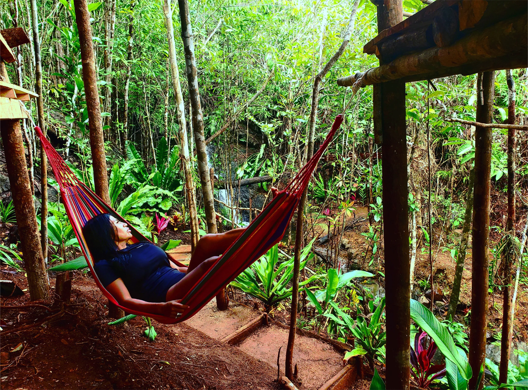 Screenshot (151)(1)(1).png