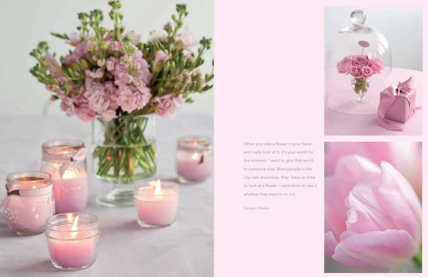 Screen Shot 2019-05-02 at 11.27.16 AM.png