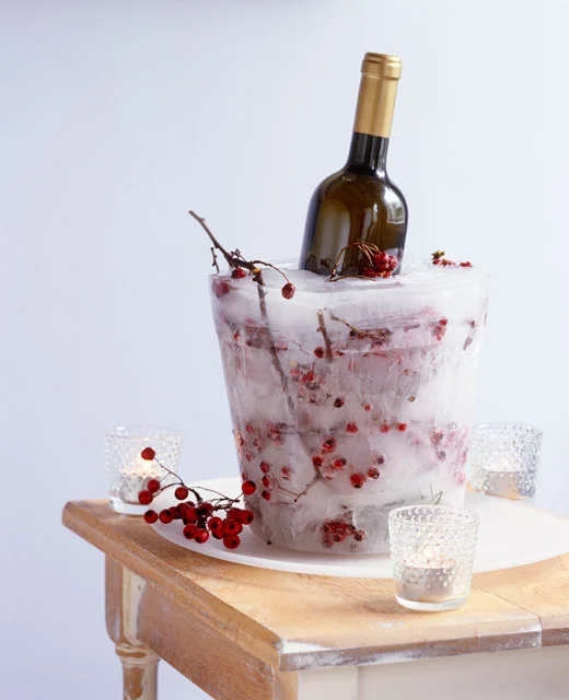 Ice Bucket Sandra Kaminski.jpg