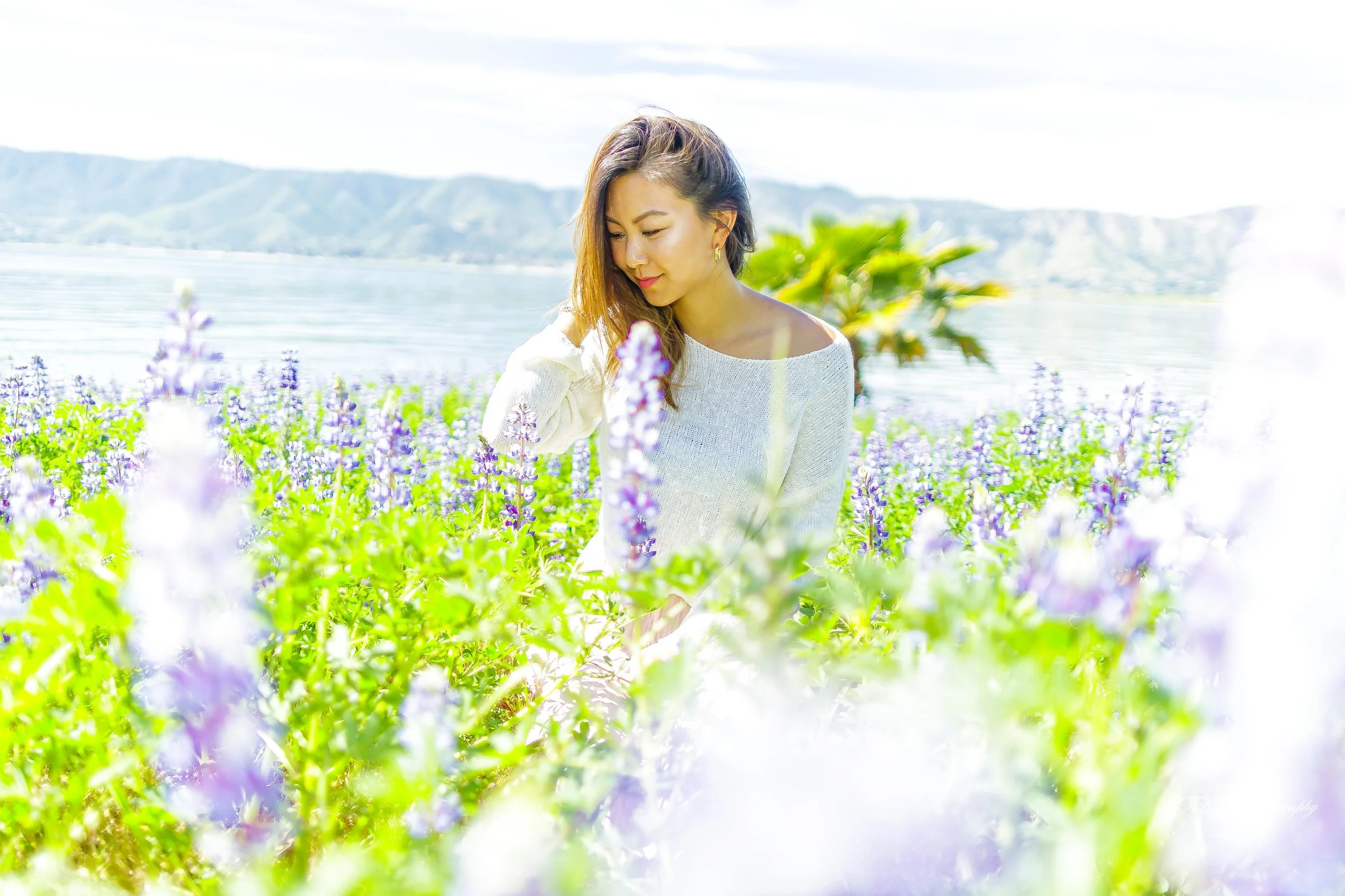 Cynthia flower 206 - Copy.jpg