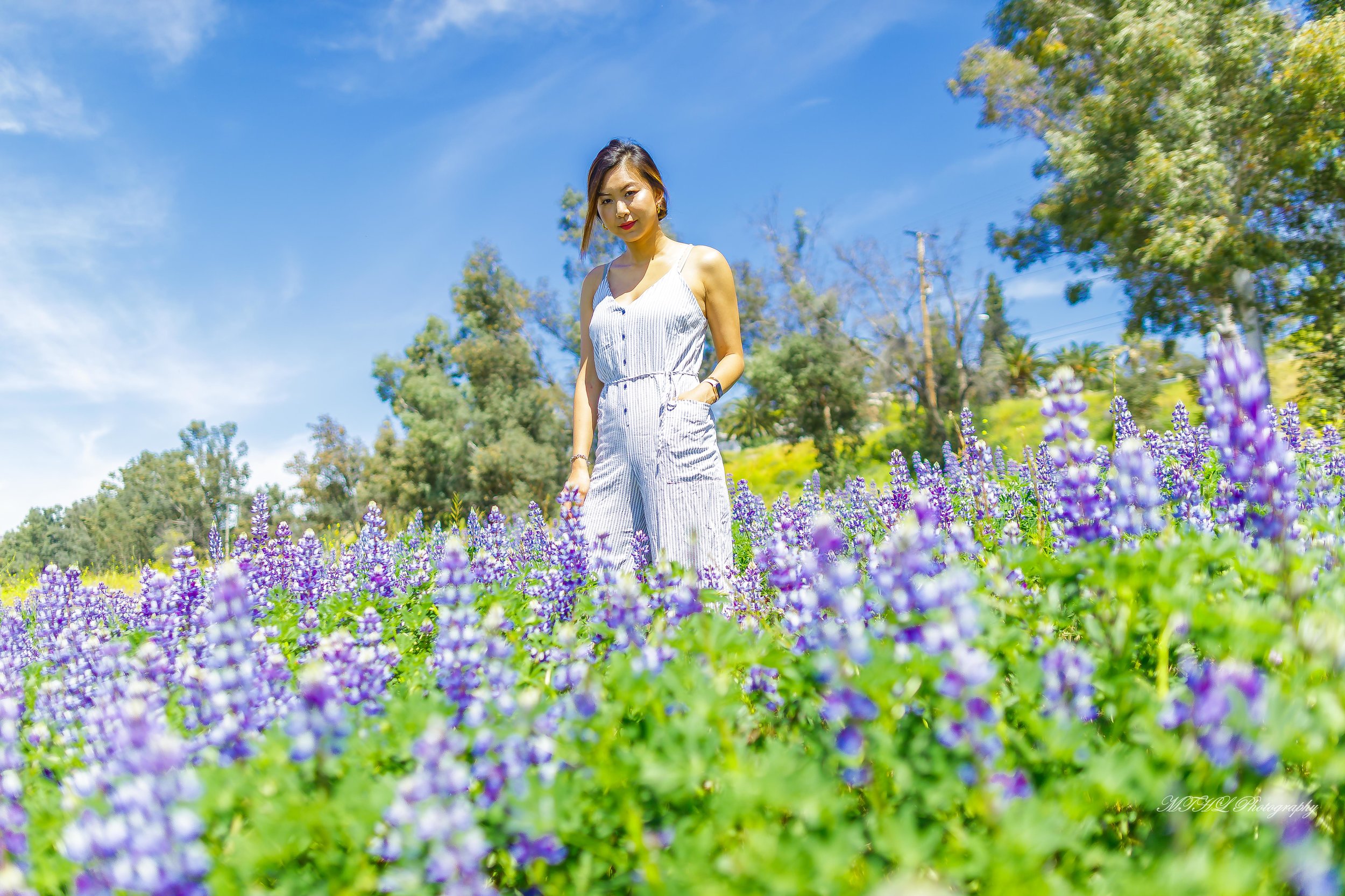 Cynthia flower 221 - Copy.jpg