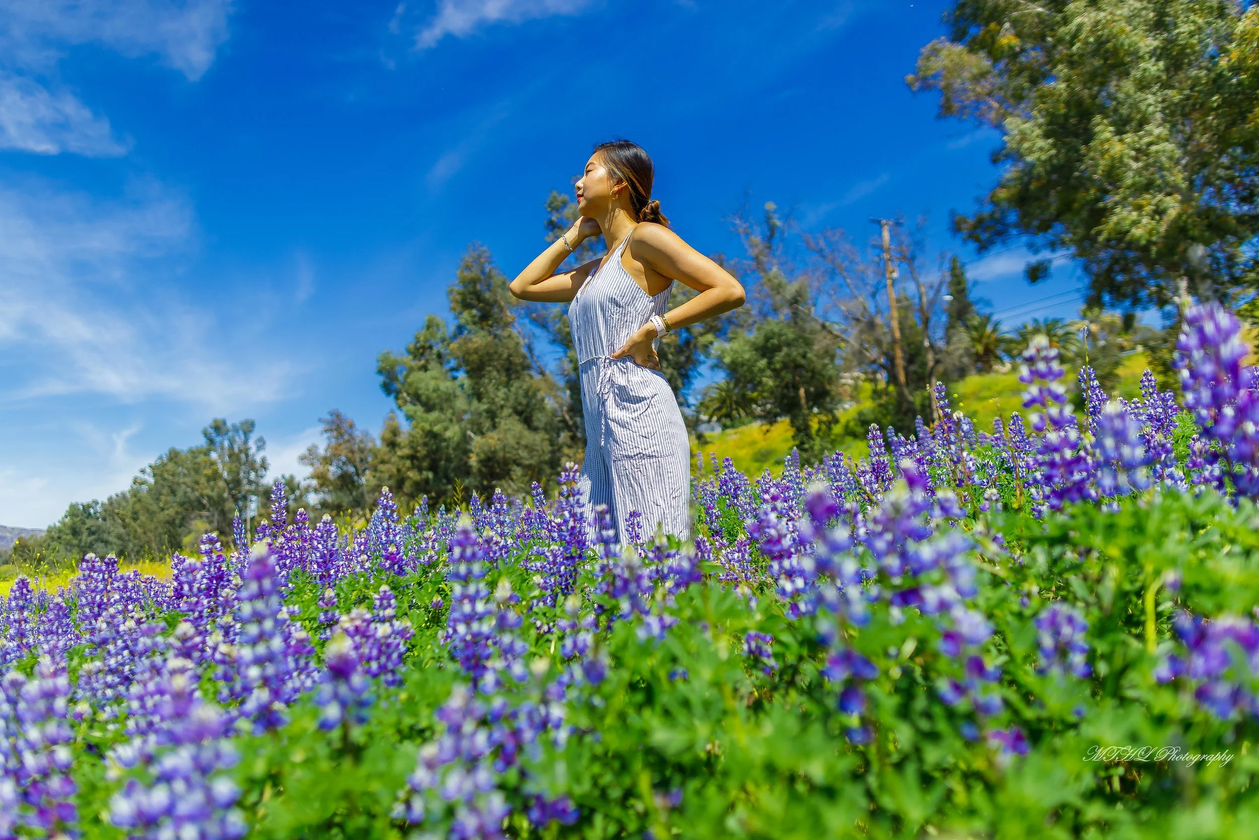 Cynthia flower 223 - Copy.jpg