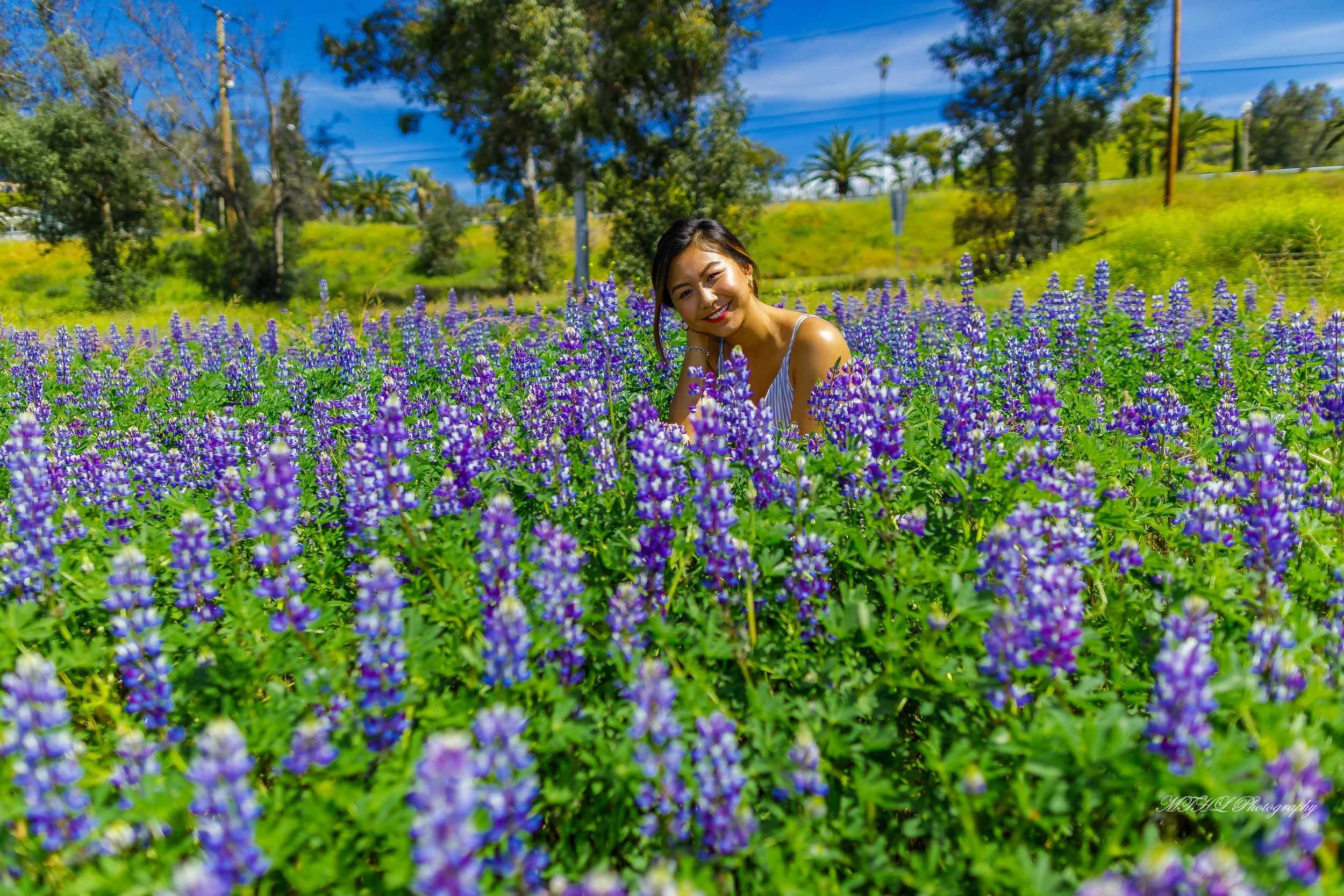 Cynthia flower 228 - Copy.jpg