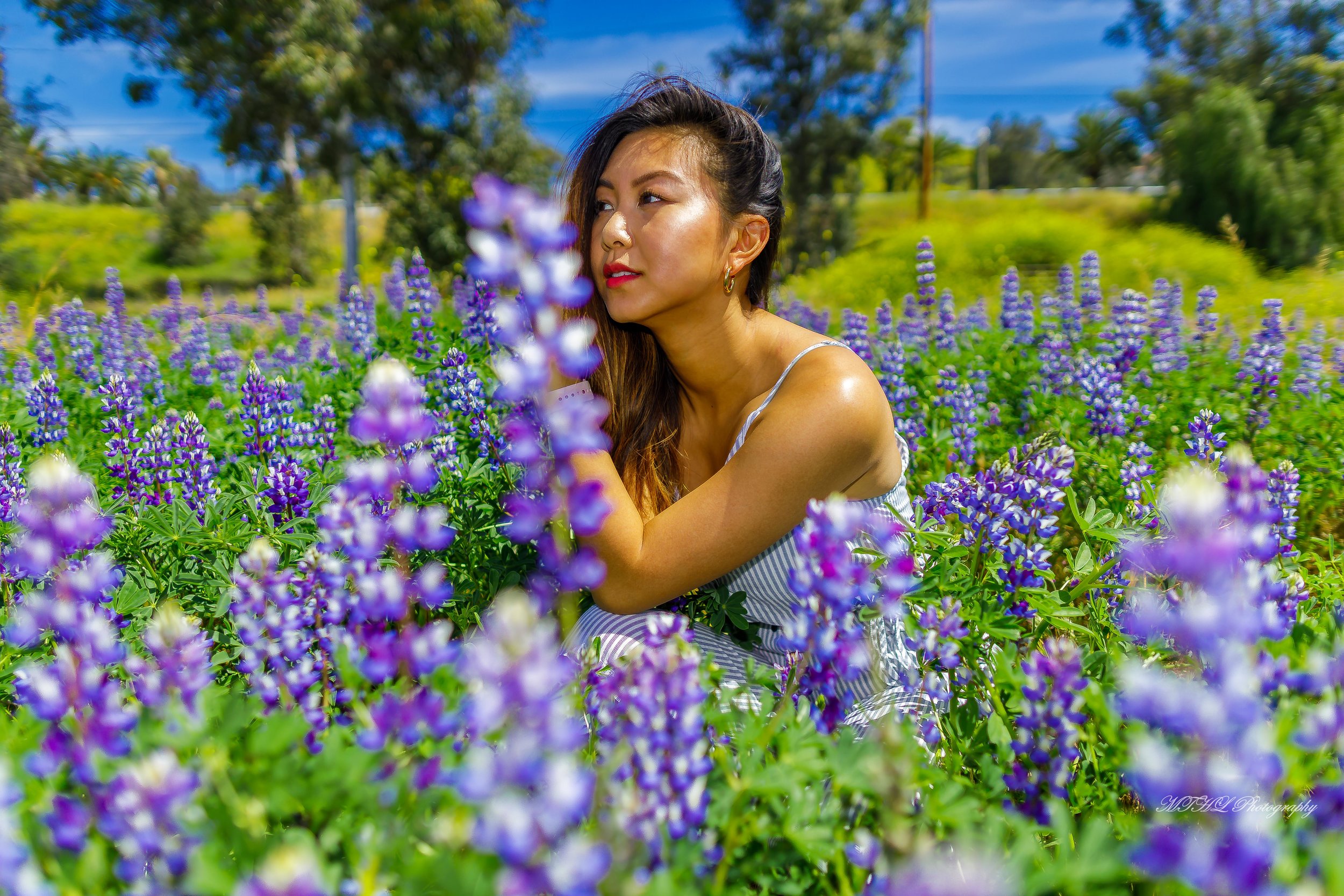 Cynthia flower 237.jpg