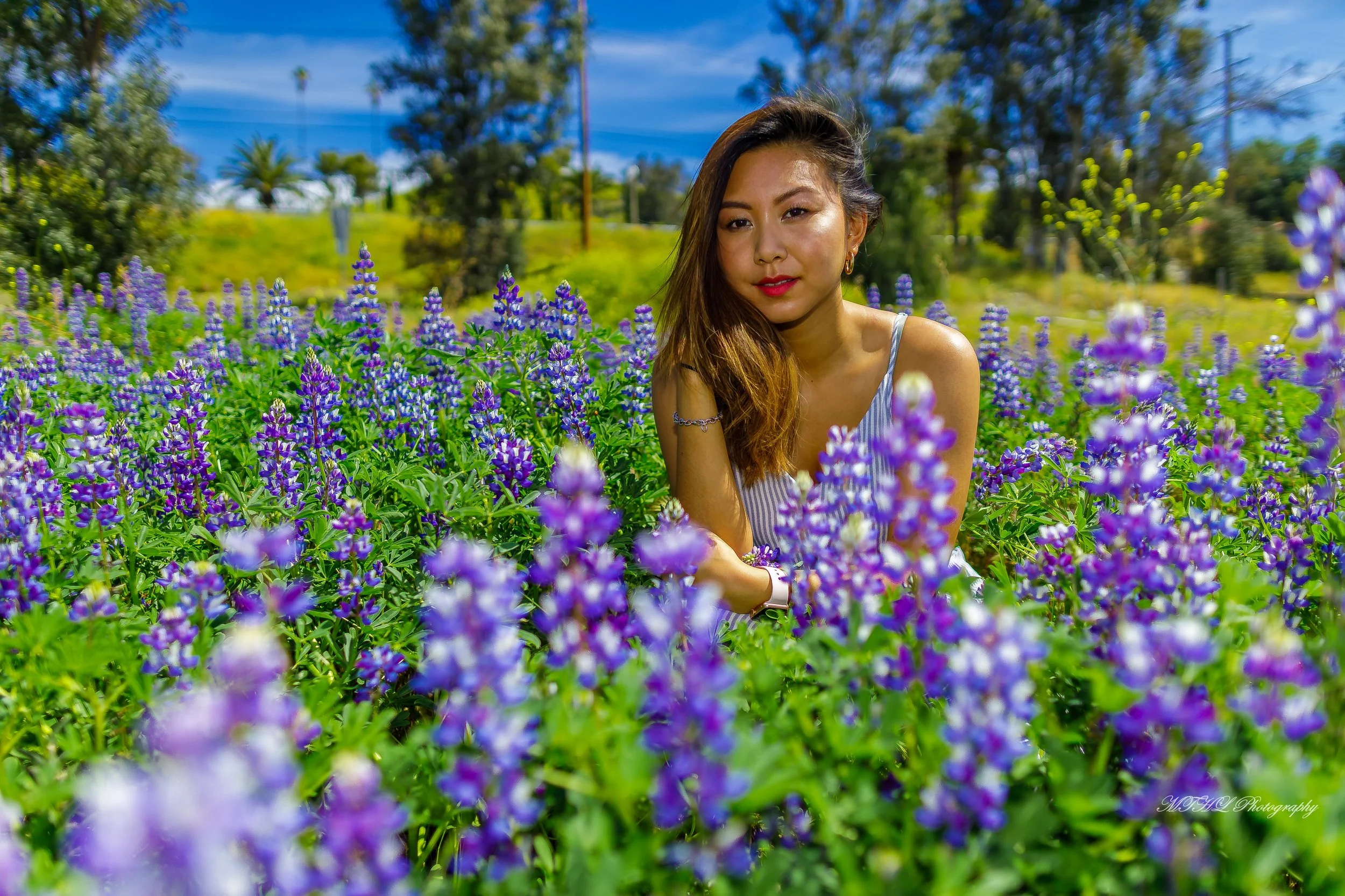 Cynthia flower 238.jpg