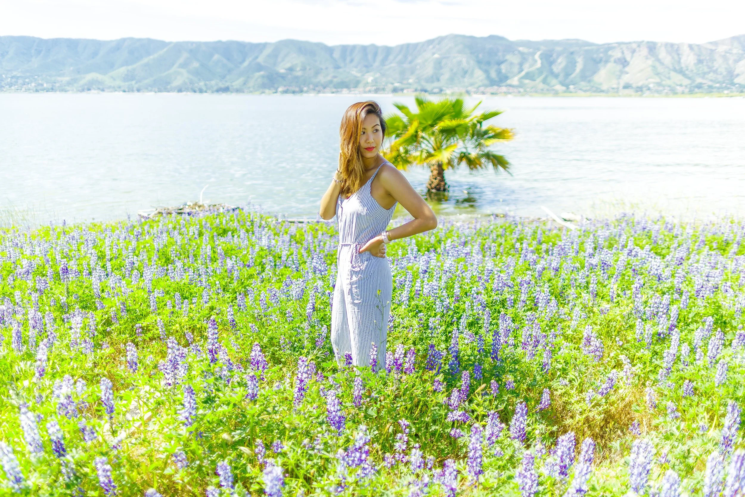 Cynthia flower 244.jpg