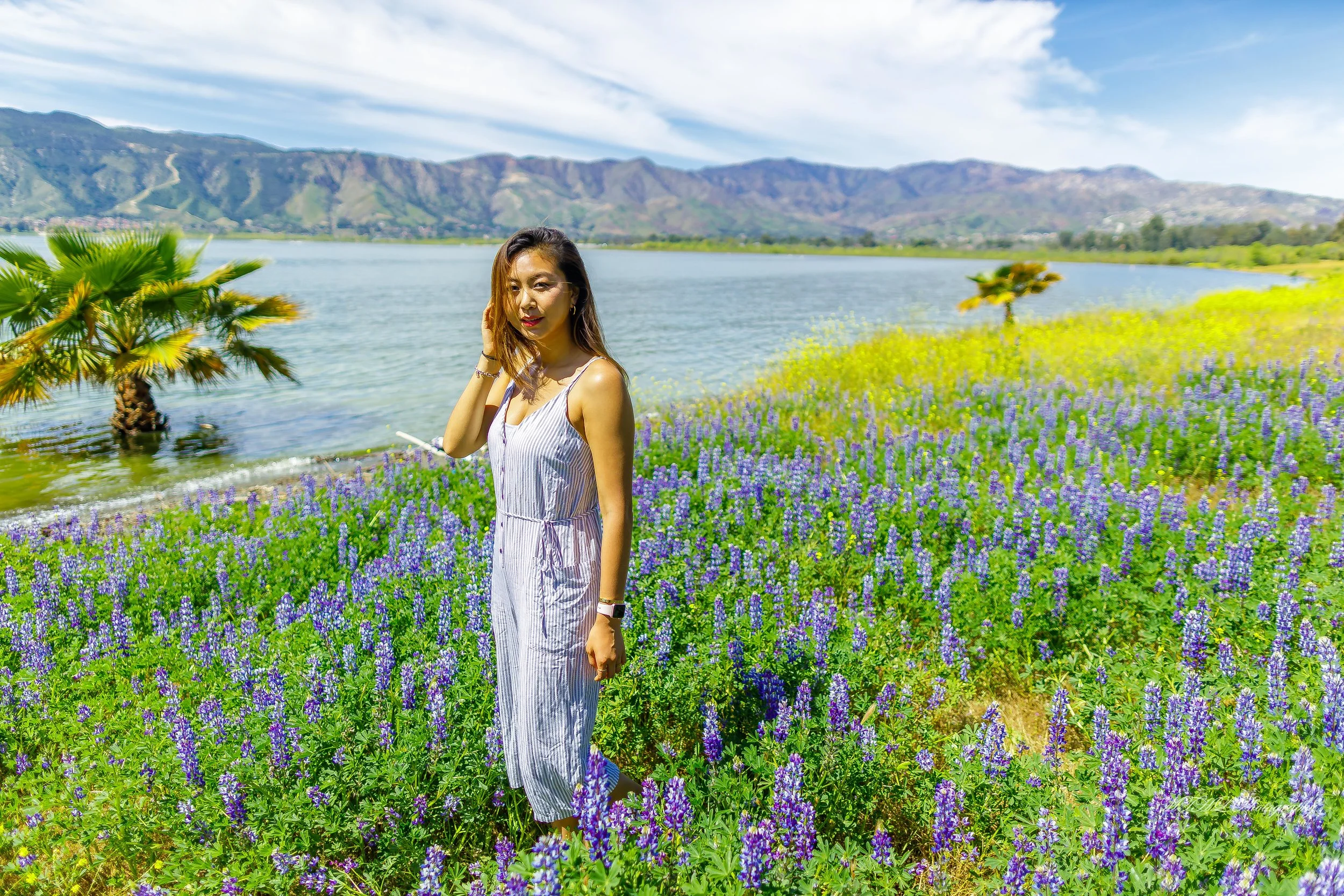 Cynthia flower 252.jpg