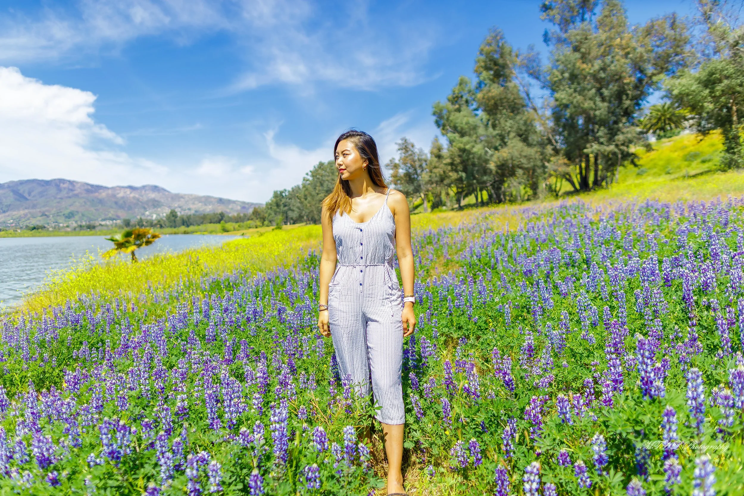 Cynthia flower 258.jpg