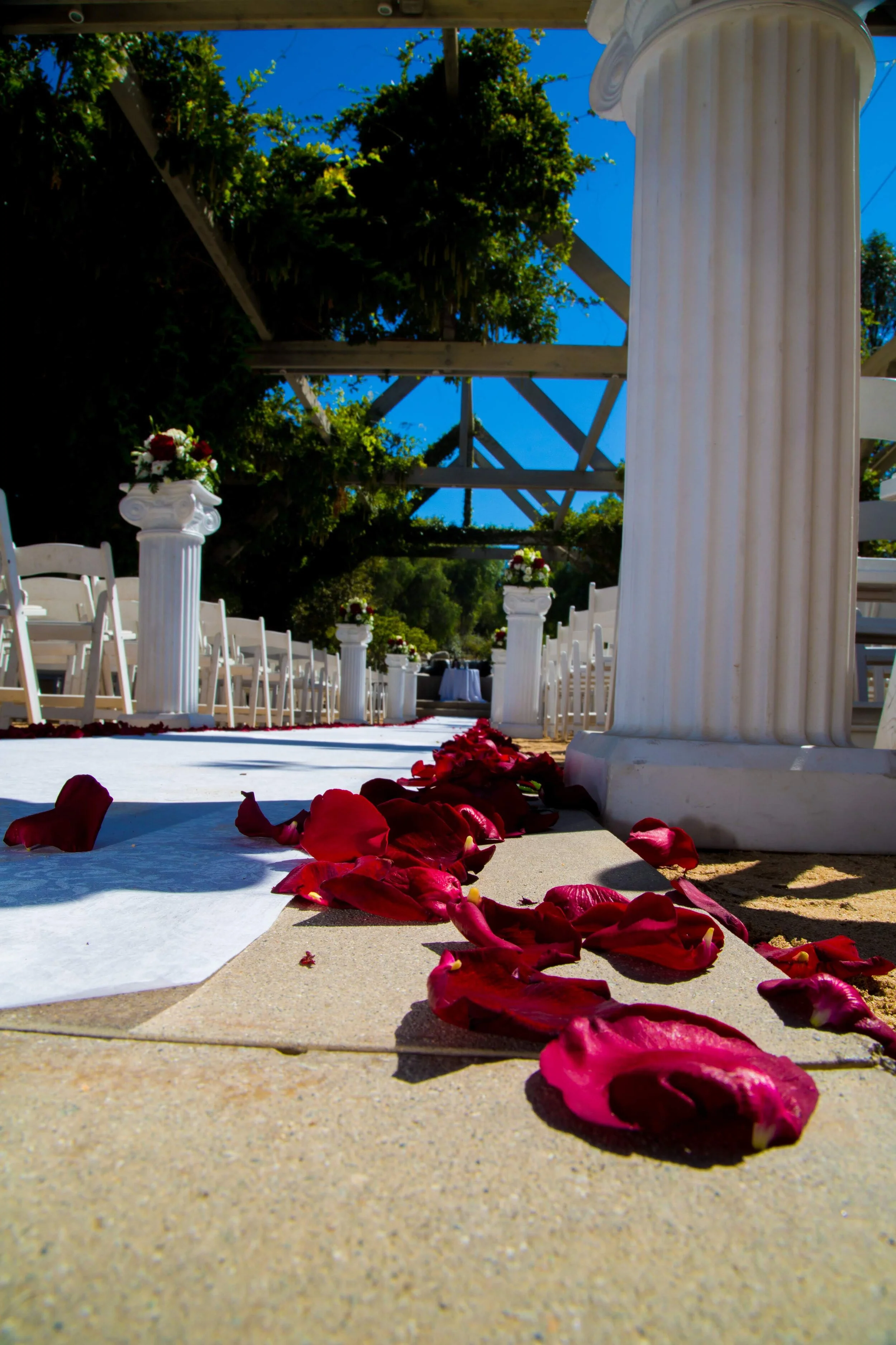 Sandra&Elias wedding day- 9-3-12 753 (5).jpg