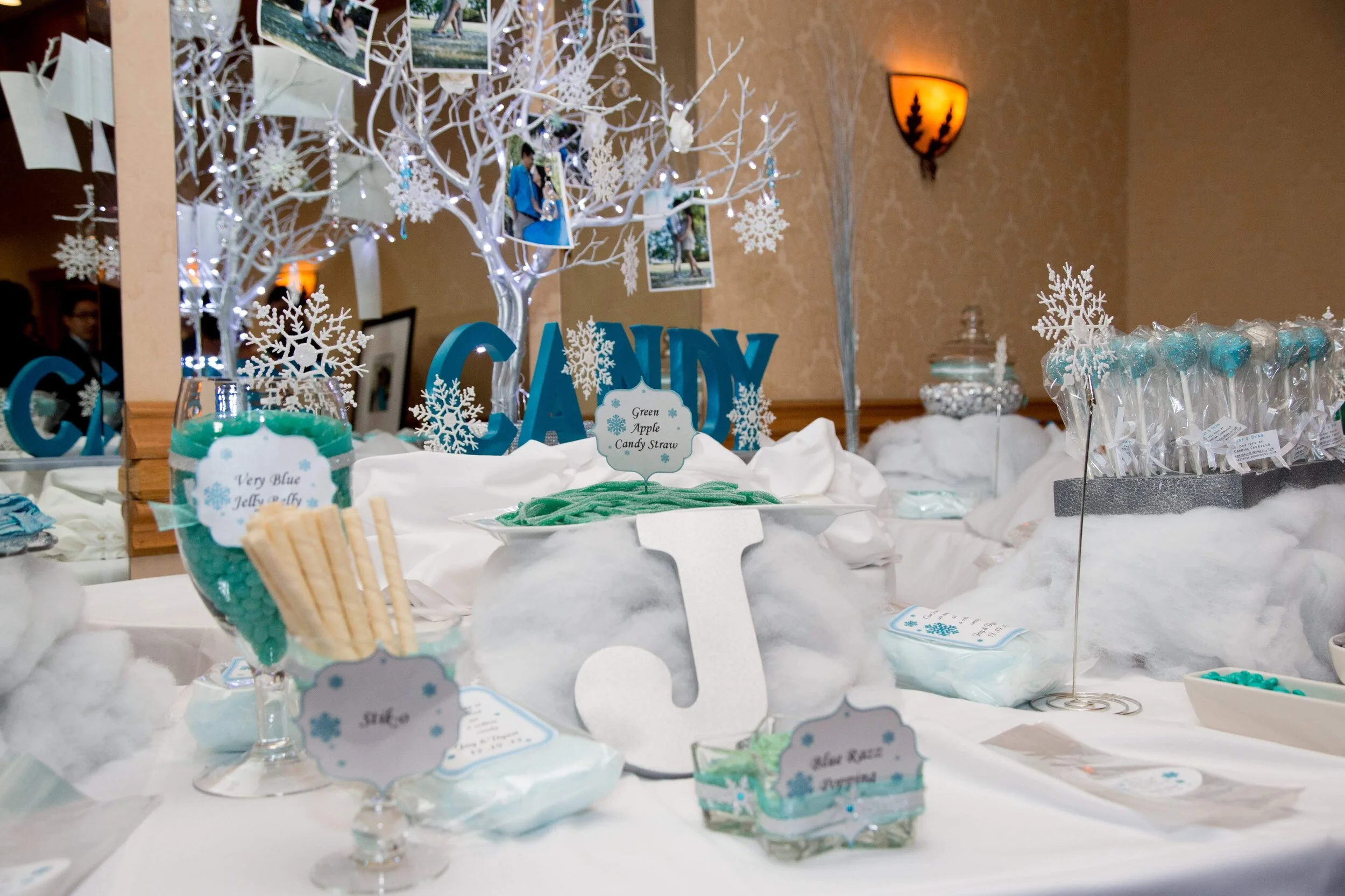 Jay&Diane wedding day12-19-12 541.jpg