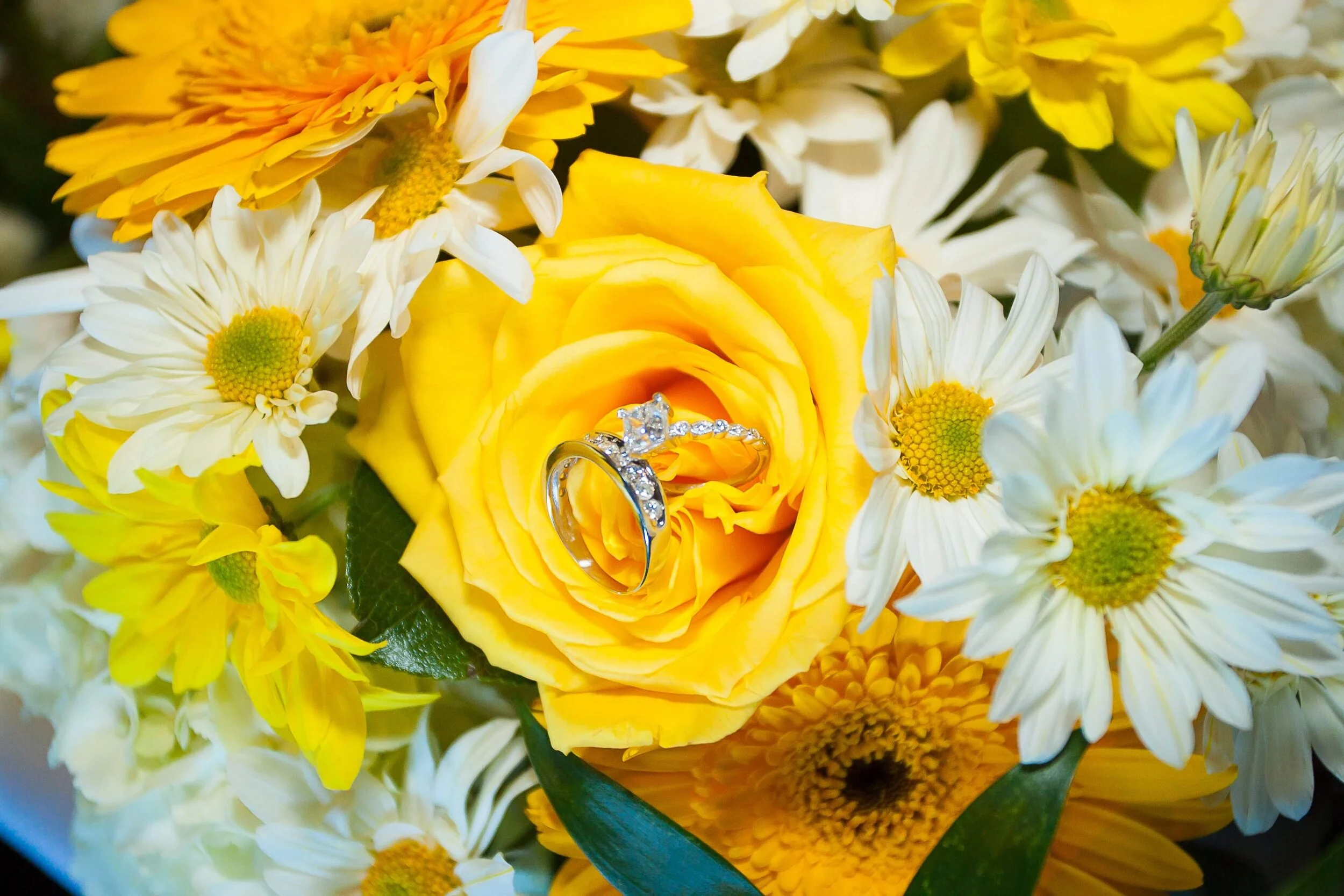 Sidney&Michelle wedding day 6-24-12 306.jpg