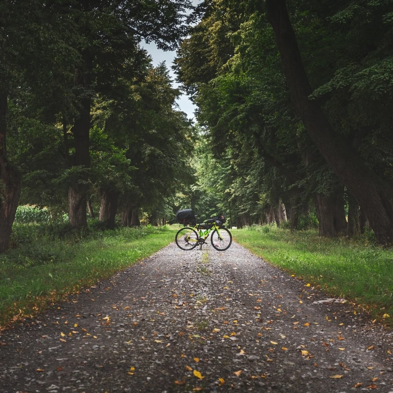 2021 / Gravel VIRTUAL Training Camp #4