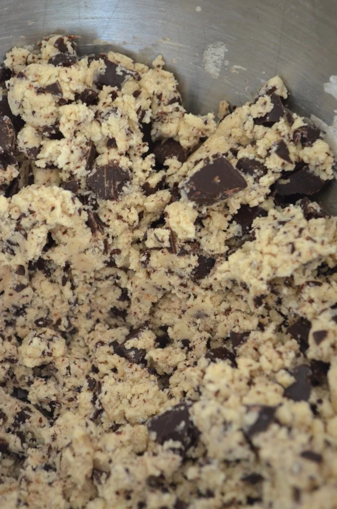 Chocolate Chip Biscotti