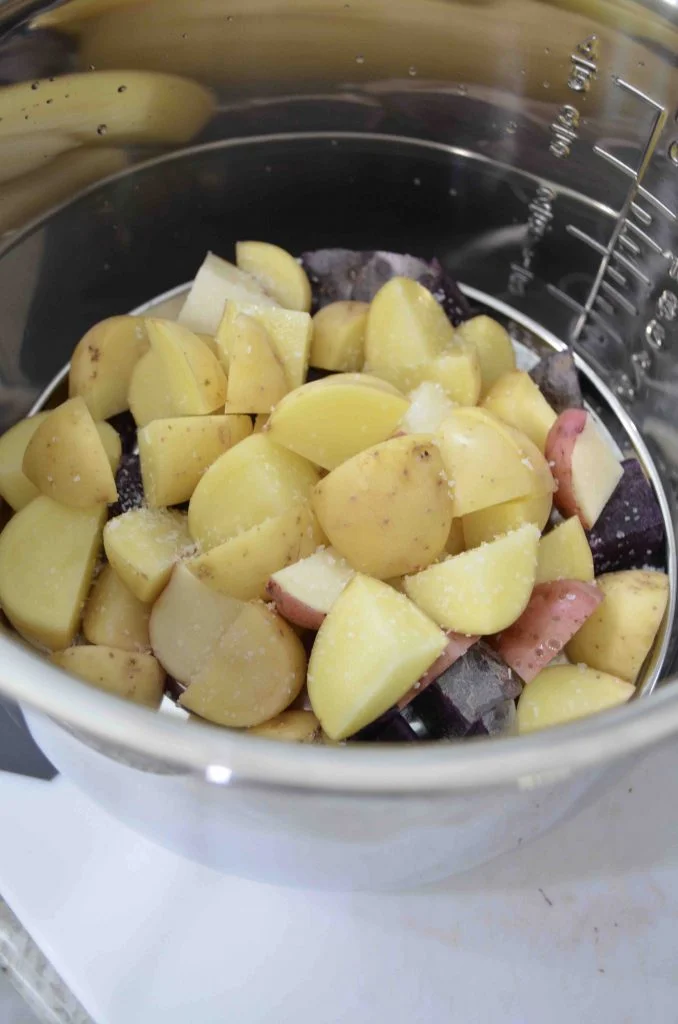 Trying out a Pressure Cooker by Avalon Bay