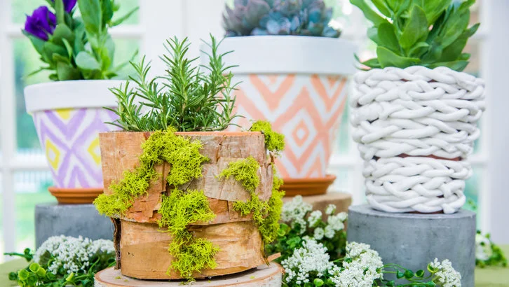DIY Flower Pots Three Ways