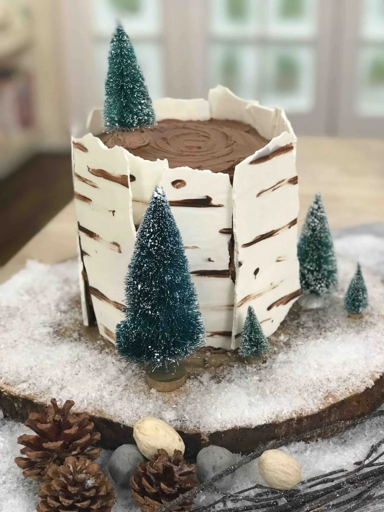 Winter Wonderland Cake with Double Chocolate Frosting