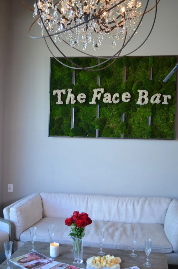 Great Face with Face Bar LA