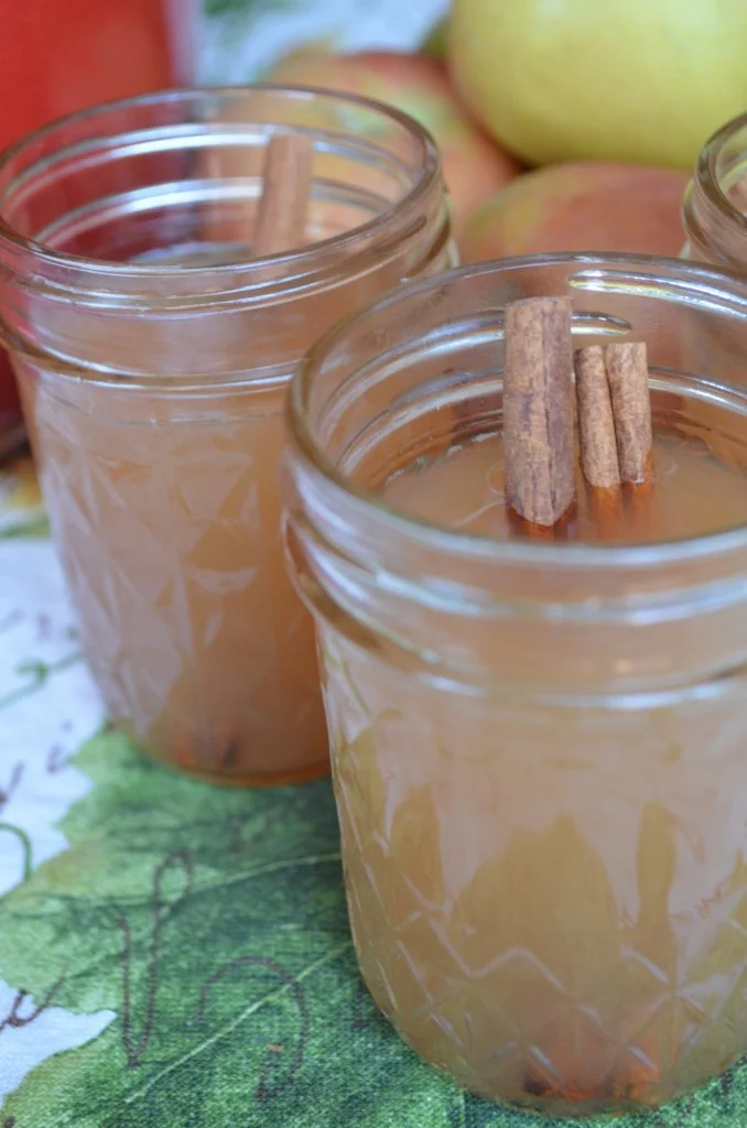 Homemade Apple Cider