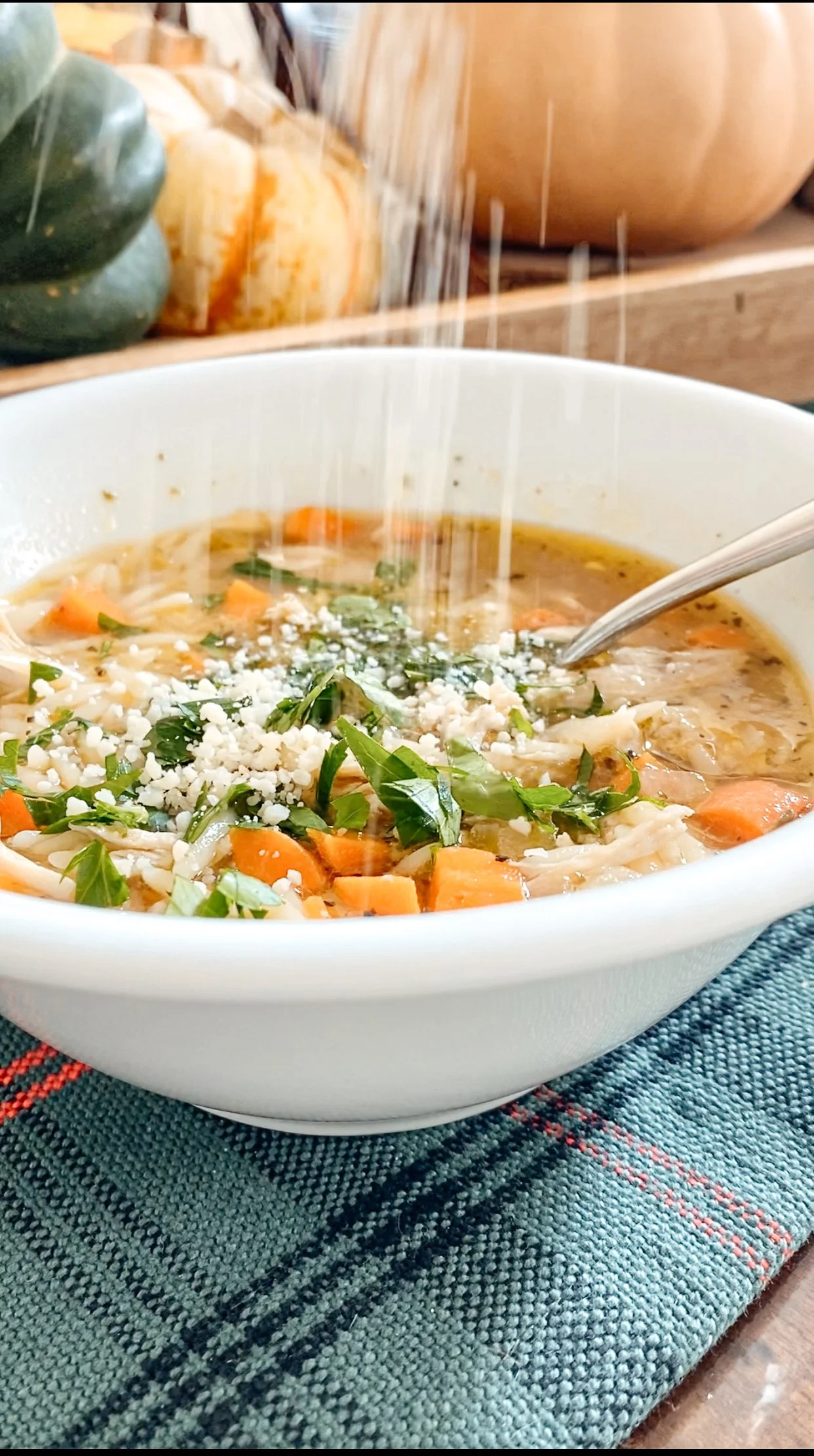 Chicken and Orzo Soup 