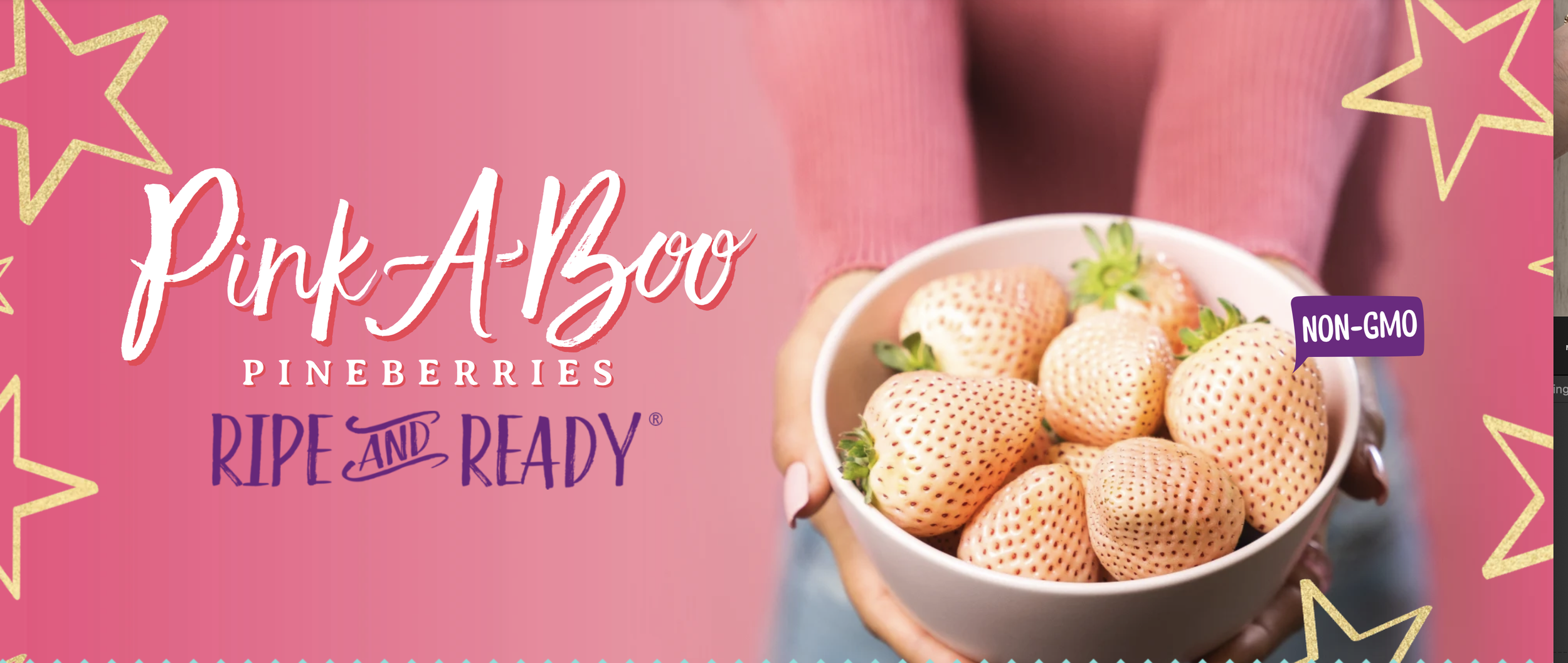 Strawberry Tart with Wish Farms Pineberries — From Scratch with Maria