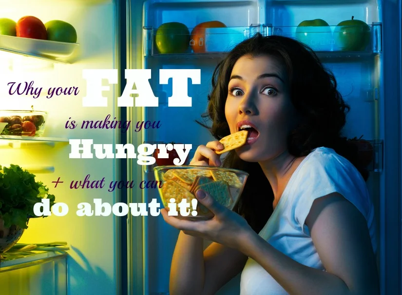 Why your fat is making you hungry + what you can do about it