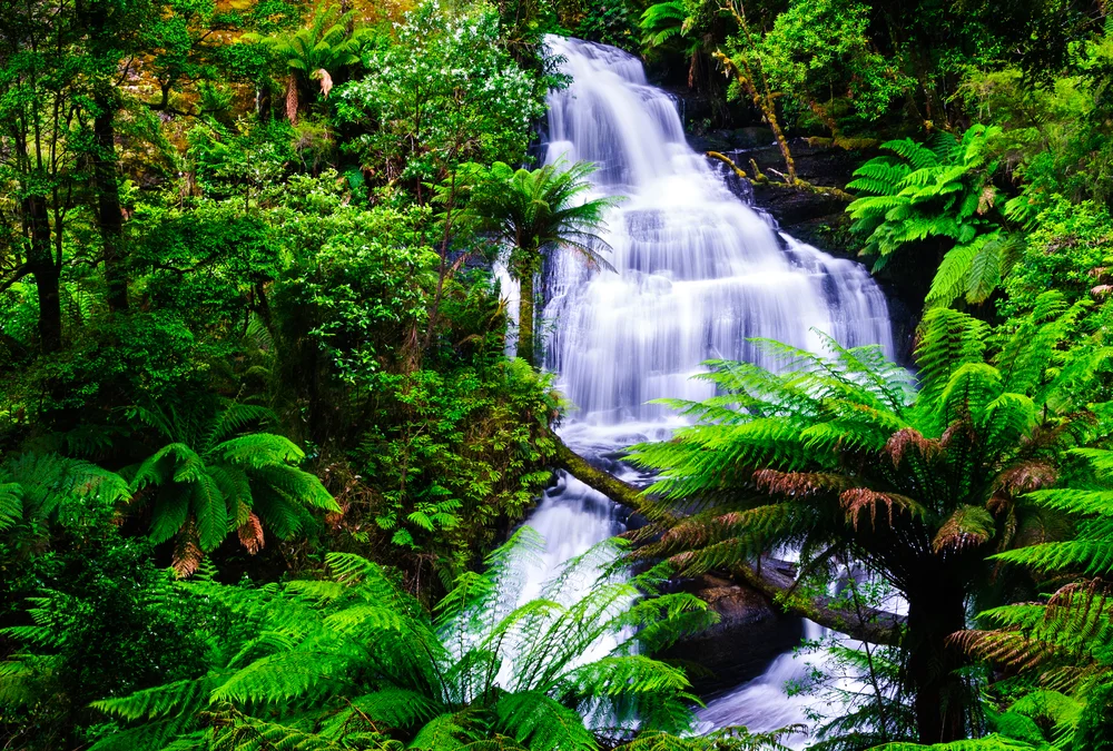 shutterstock_185697575.jpg