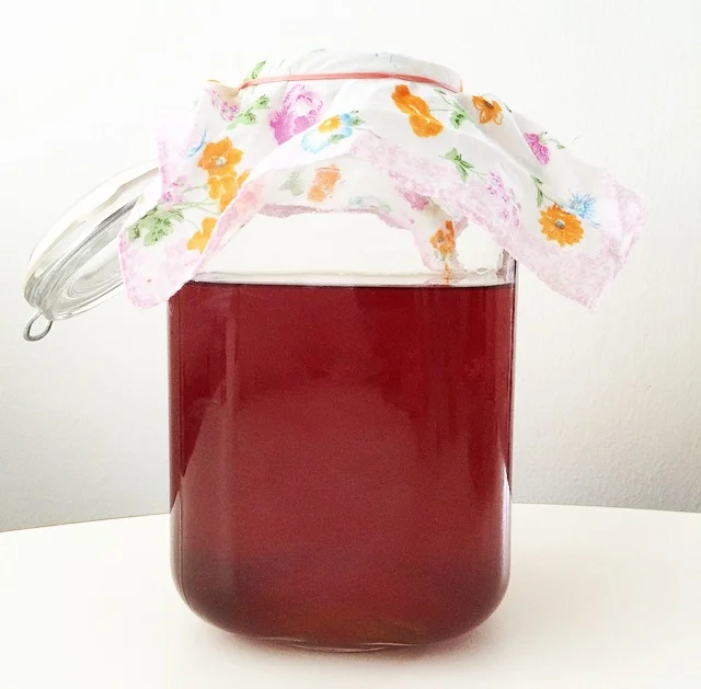 kombucha-scoby.jpg