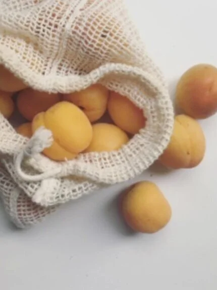 apricot-jam-lunch-lady-lou