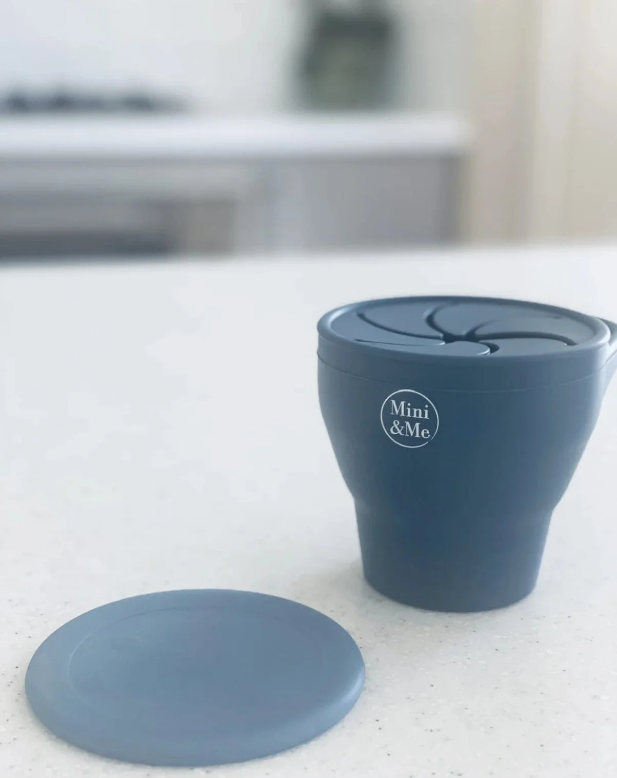 Collapsible Snack Cup Blueberry A.jpg