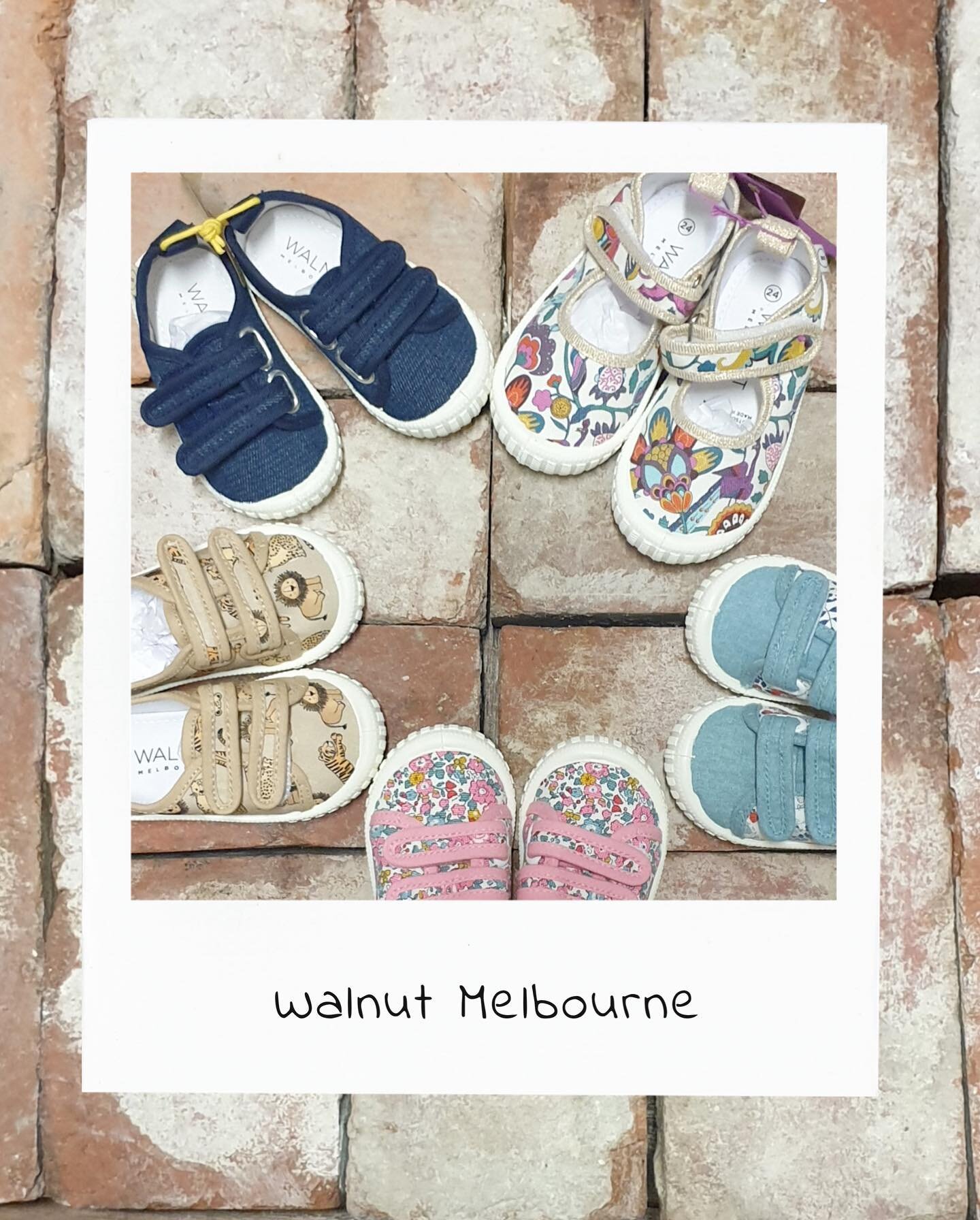 New to our store Walnut shoes, the cutest canvas shoe and a great price point. Check them out online now www.puddletown.com.au.  #walnutmelbourne #puddletown #shoponline #shoplocal #childrenshoes