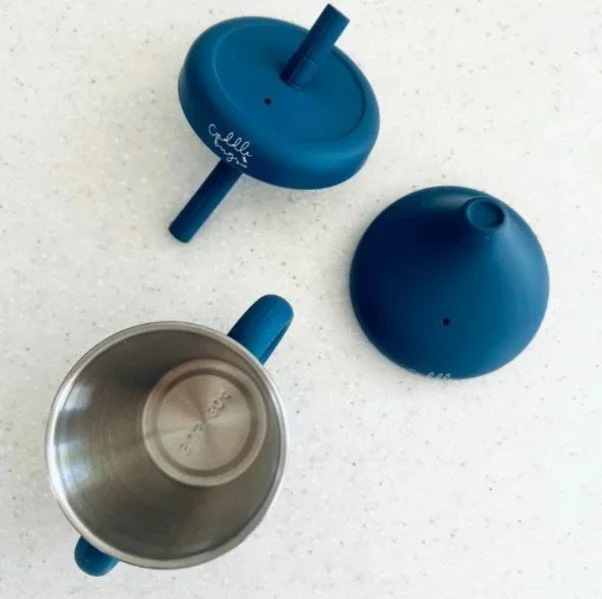 Stainless Sippy Cup Blueberry A.jpg