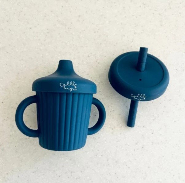 Stainless Sippy Cup Blueberry B.jpg