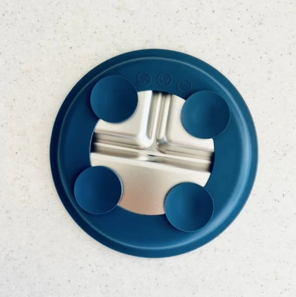 SS Divided Plate Blueberry B.jpg
