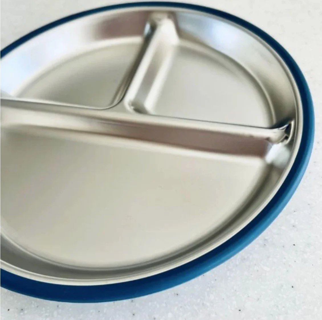 SS Divided Plate Blueberry C.jpg