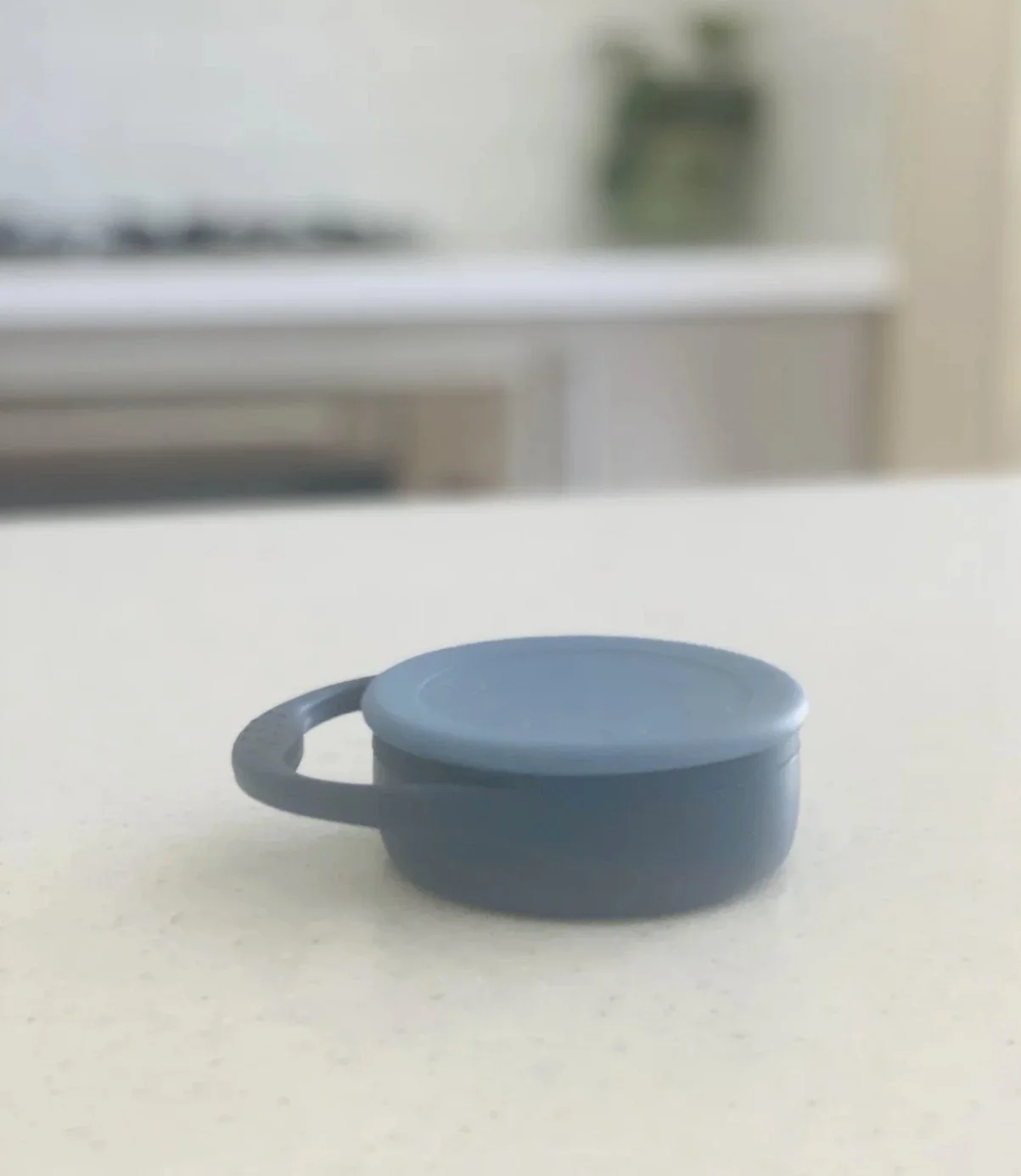 Collapsible Snack Cup Blueberry B.jpg