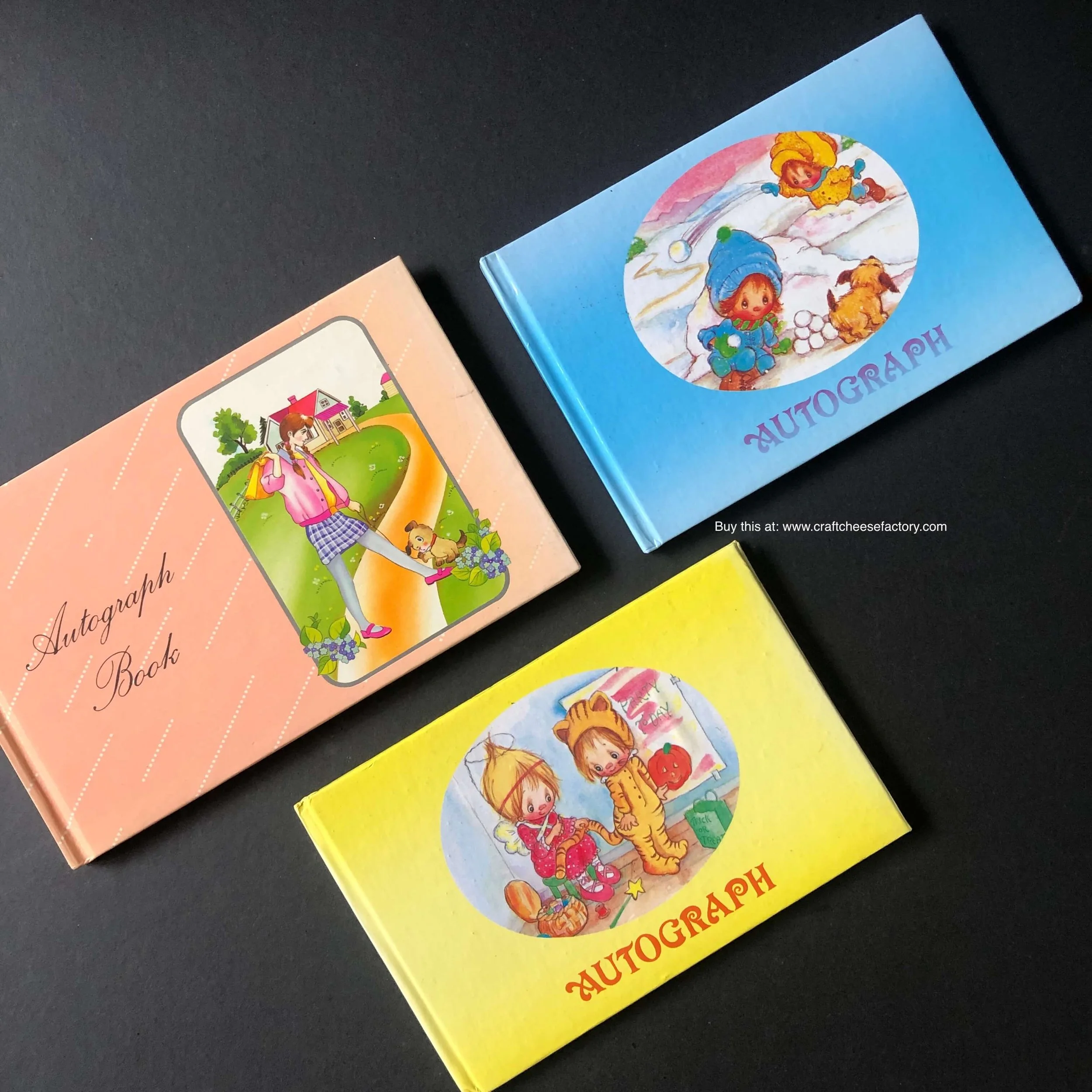 Vintage children's autograph cartoon books — Craftcheesefactory.com