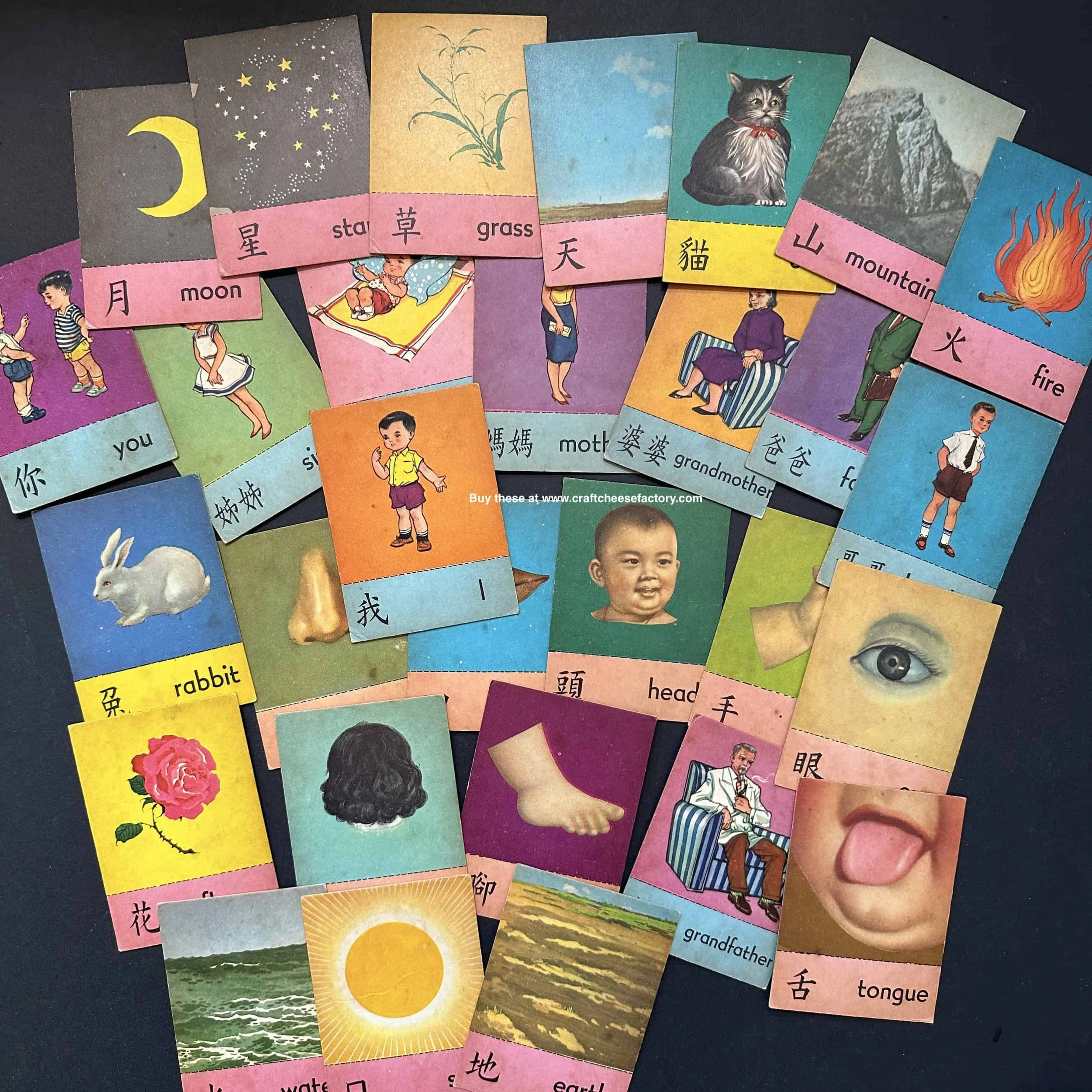 vintage children learning picture flash cards