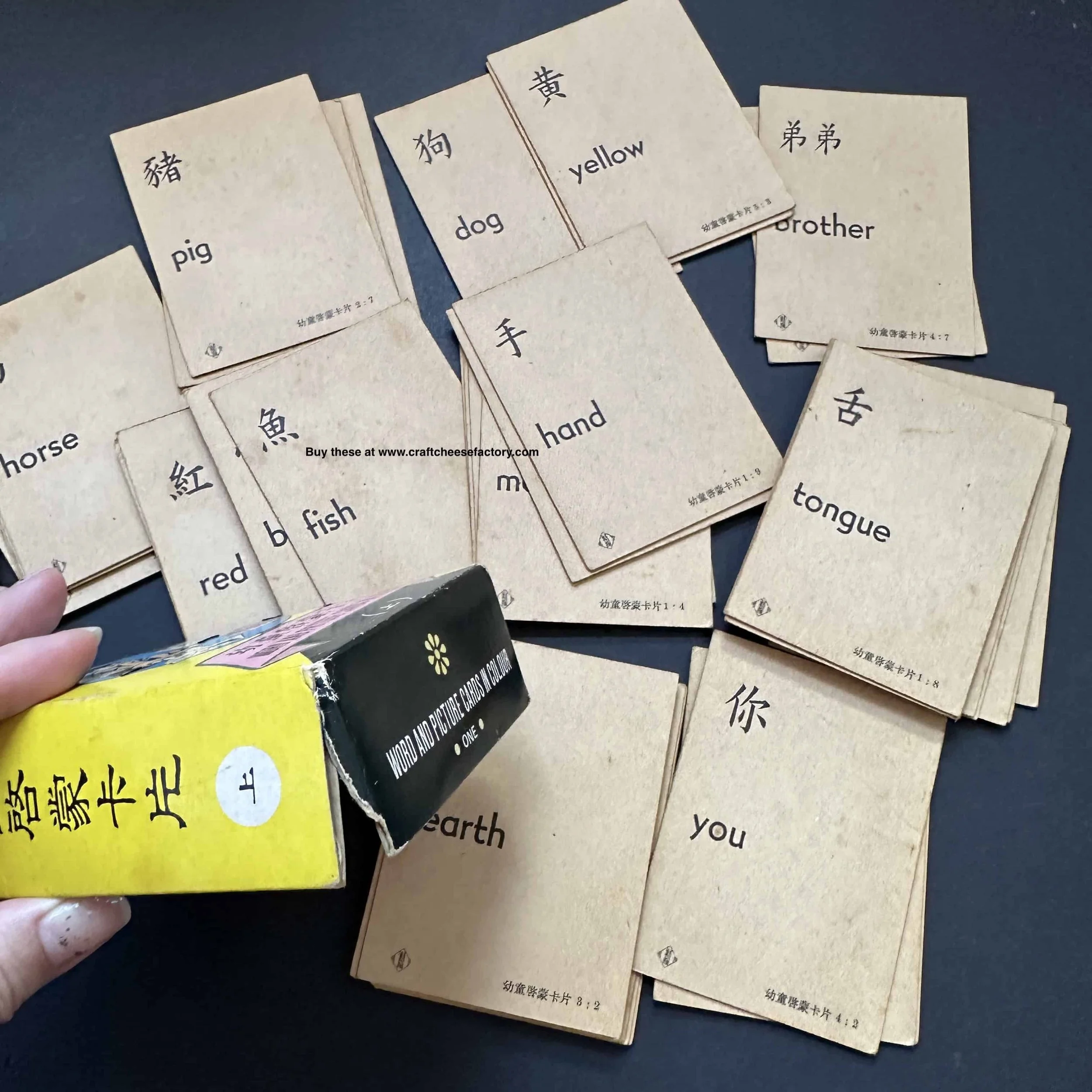 vintage Hong Kong learning picture flash cards