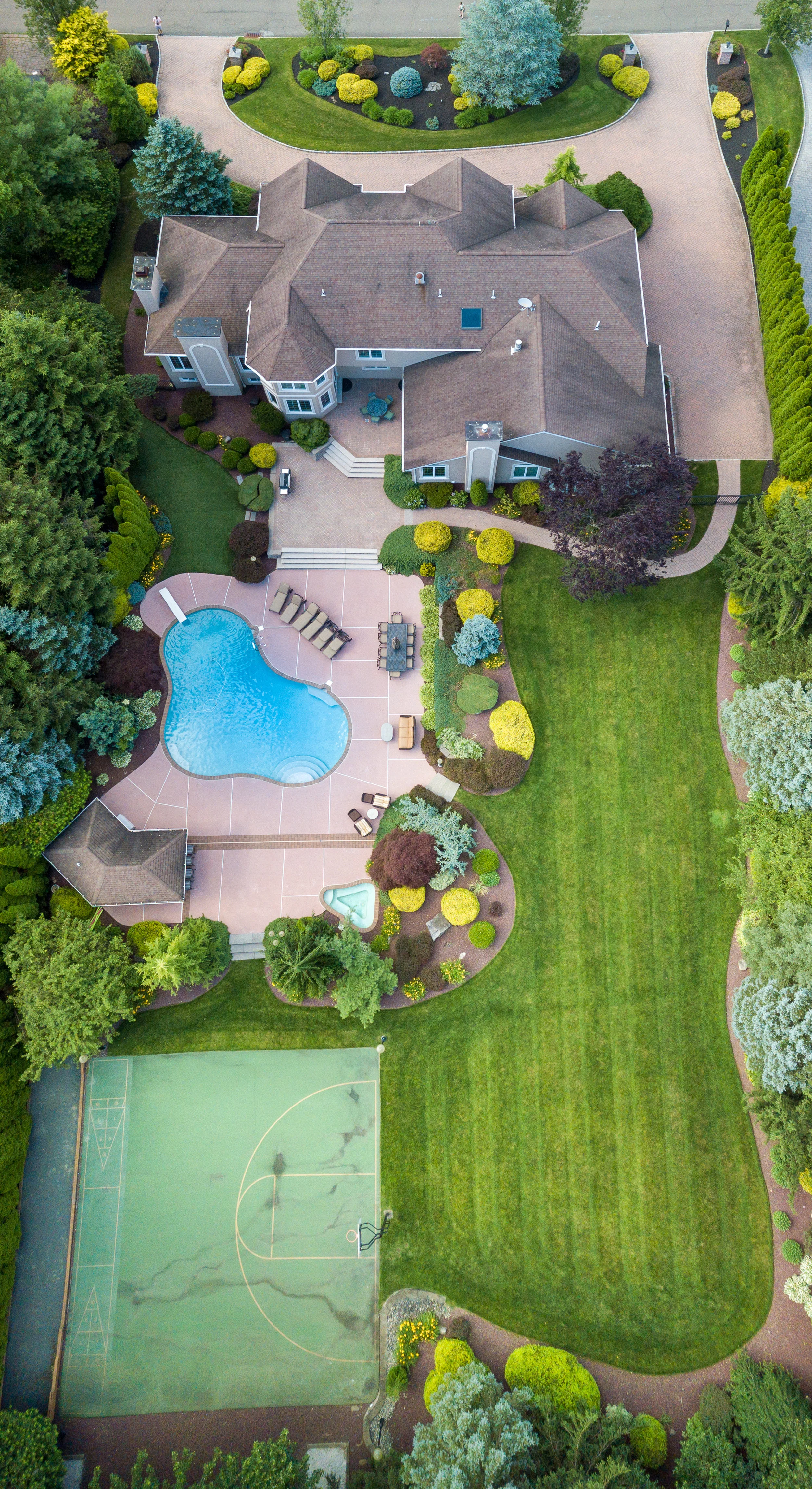 backyardhighfull.jpg
