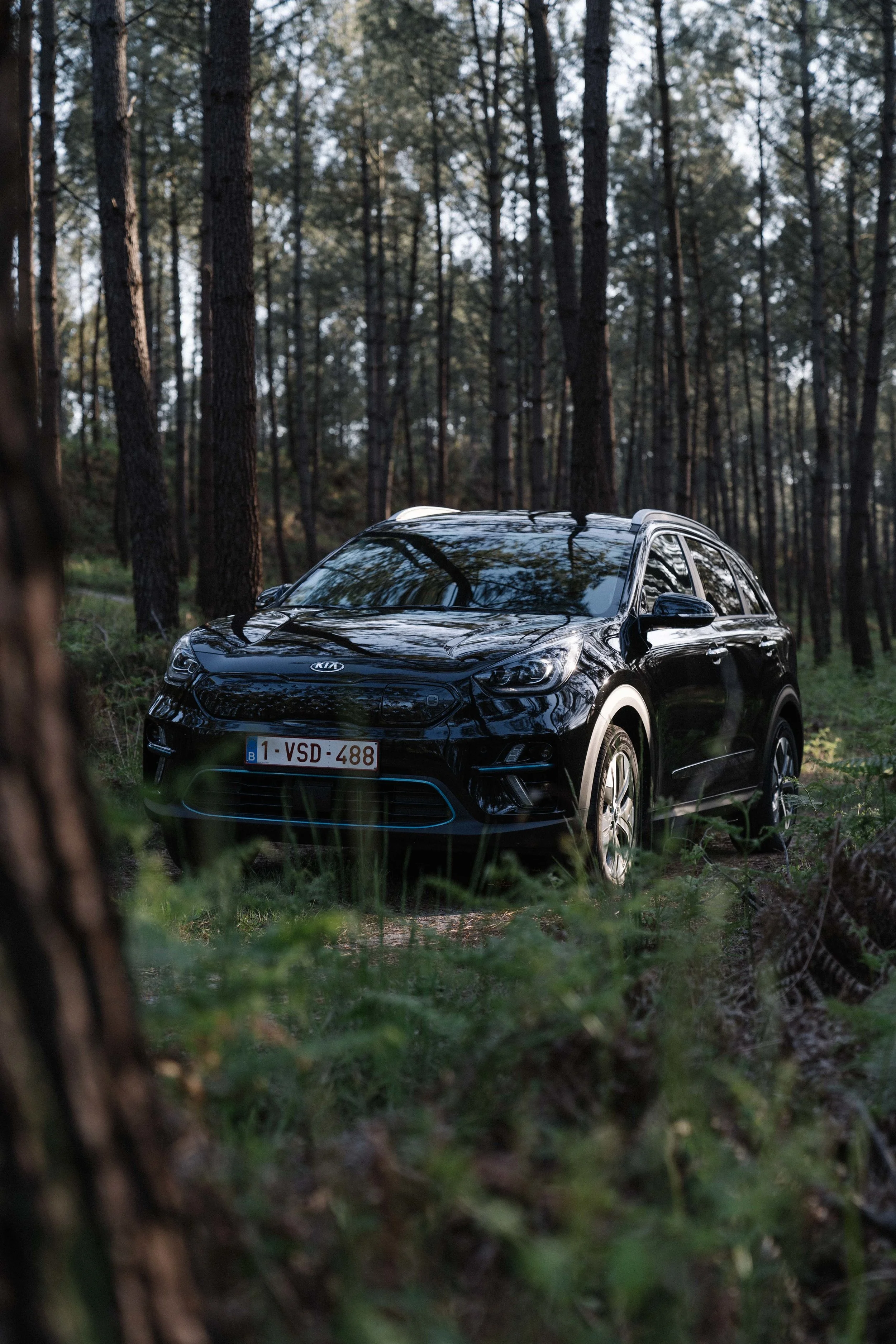 KAI_e-Niro-11.jpg