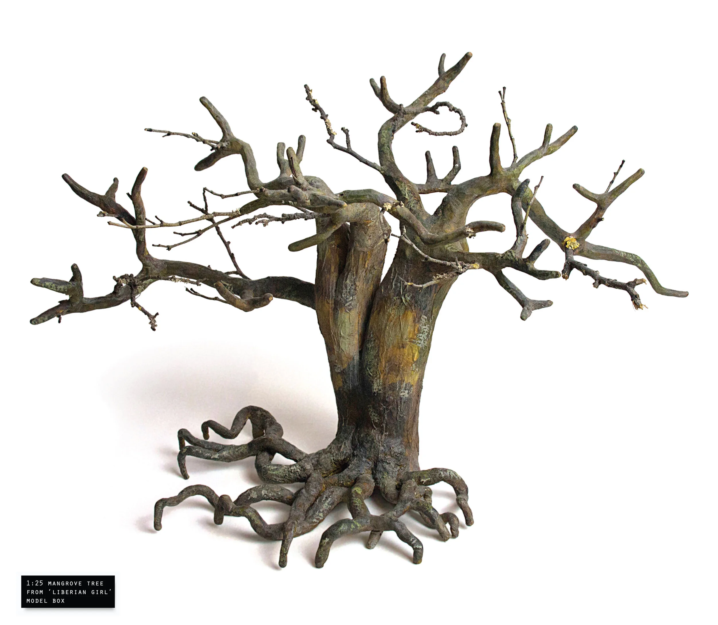 mangrove tree final.jpg