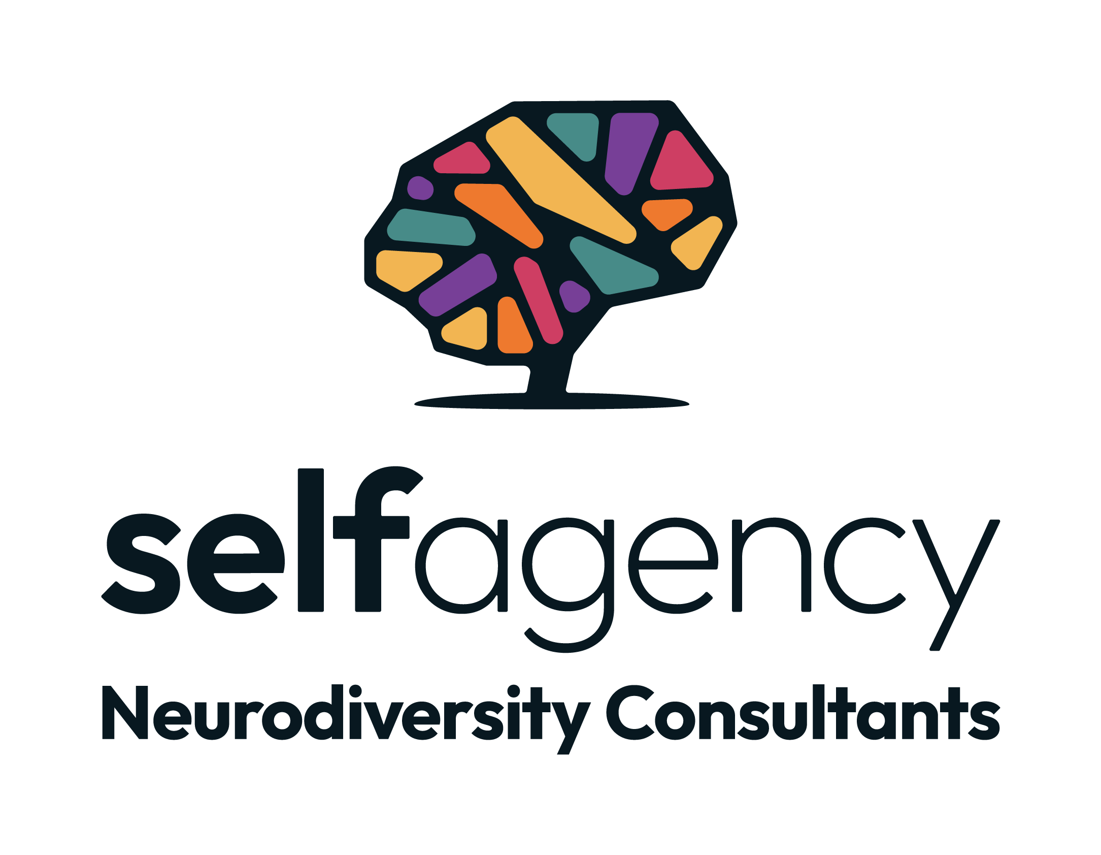 Self-Agency-Descriptor-Stacked-Logo-RGB-Black.png