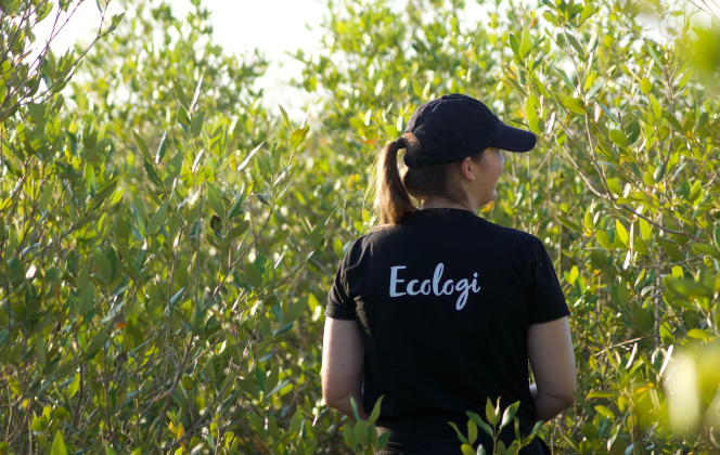 Lady amongst mangrove trees 