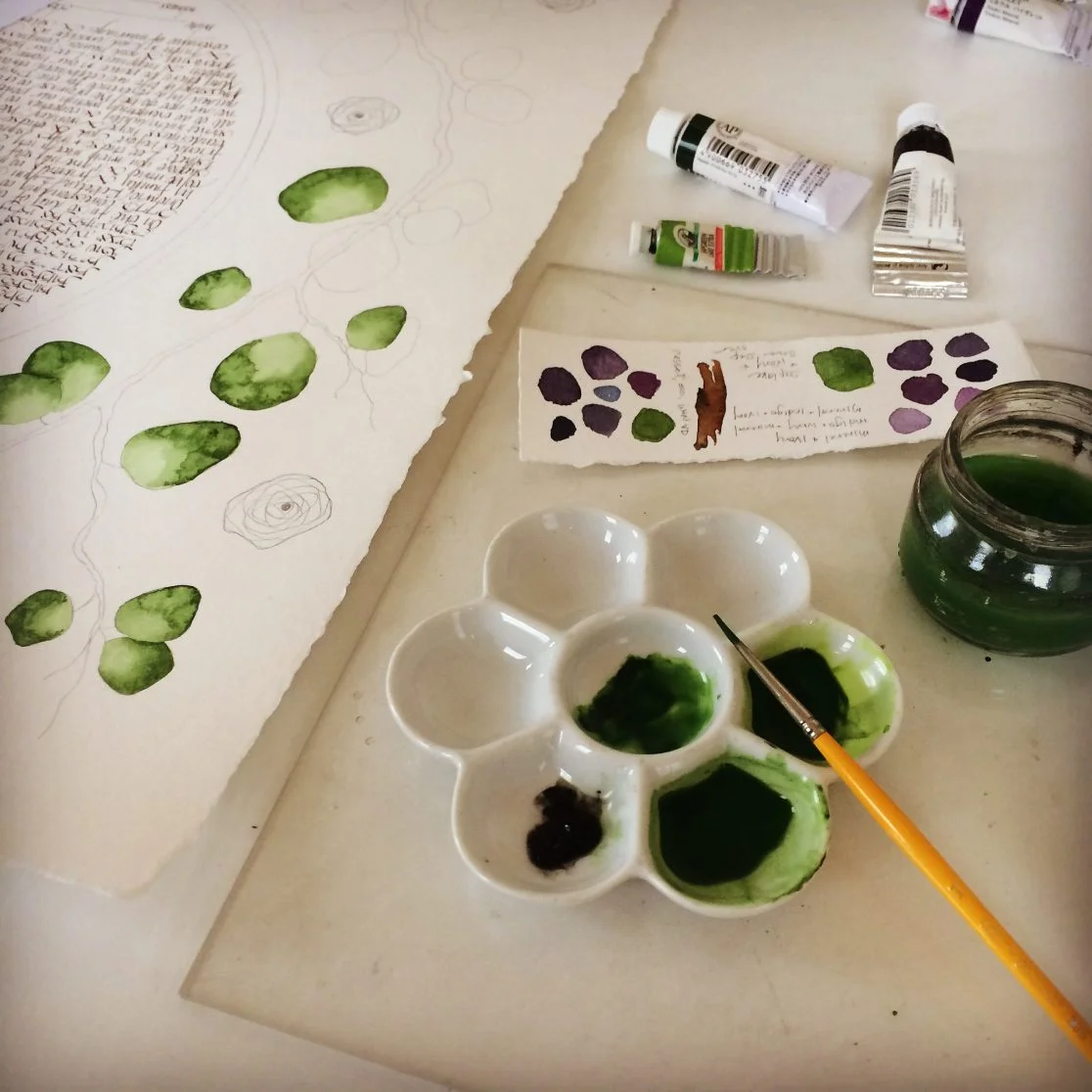 momoyama-ranunculas-process-1116x1116.jpg