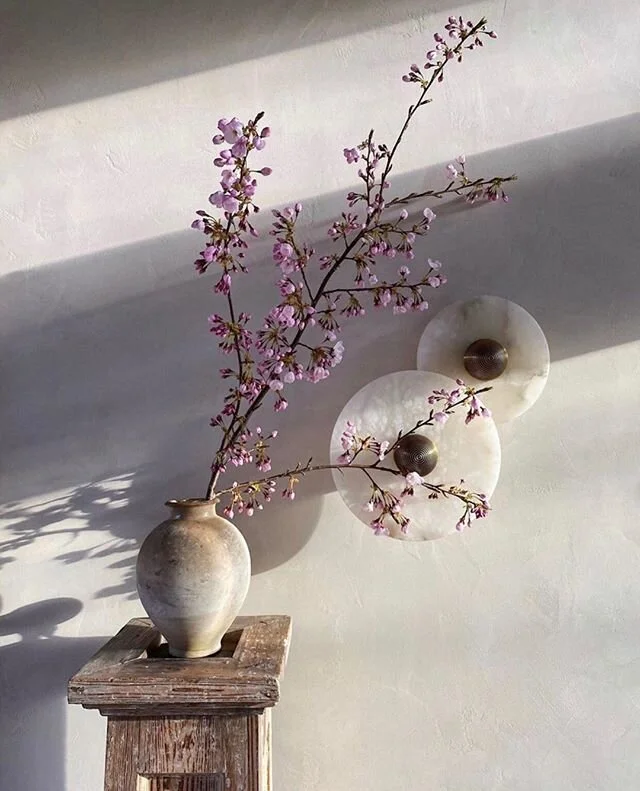 ᶠᴸᴼᵂᴱᴿˢ. ᴬᴺᴰ. ᴸᴵᴳᴴᵀˢ✨
&bull;
&bull;
&bull;
#lights #flowers #lightingdesign #sconces #lights #walllights #piedra #stone #create #inspo #styleinspo #archilovers #architecture #mininal #simple #marinstravel #marinsartdirector #marinsinteriordesign #wha