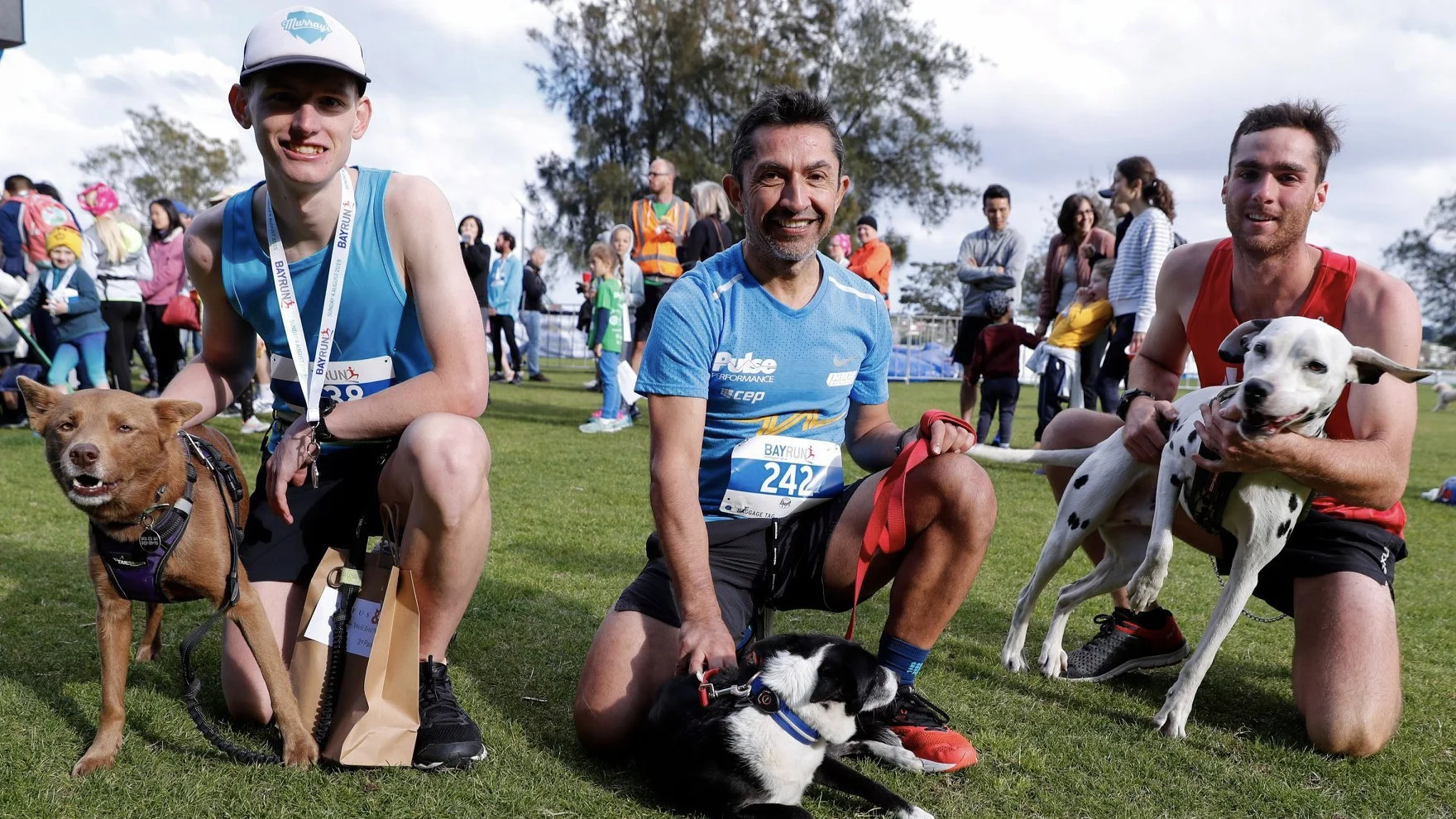Dog winners.jpg