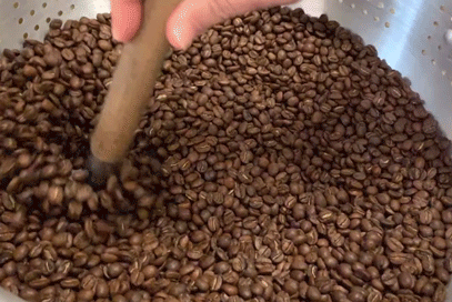 Beans2.gif
