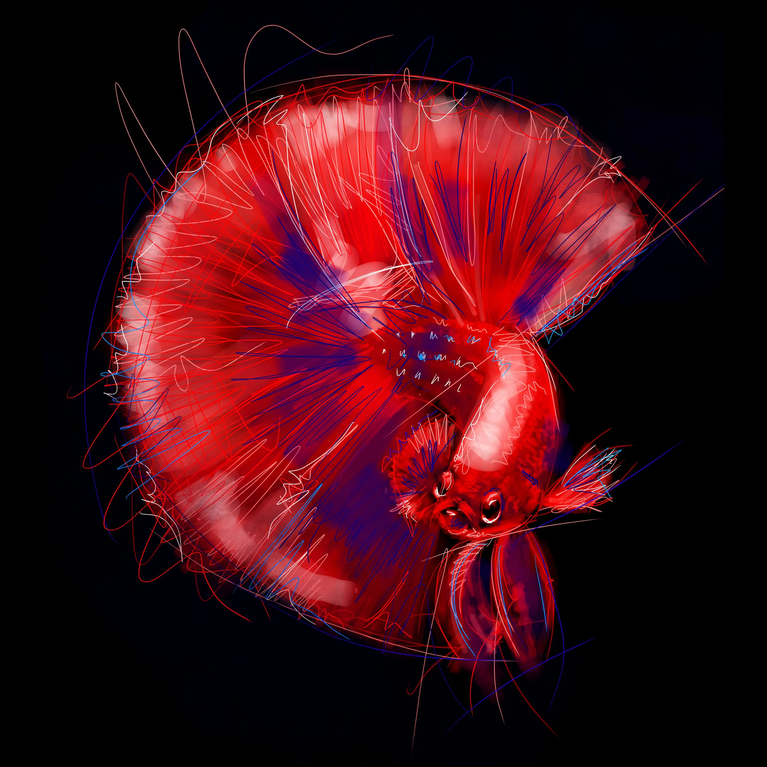 11.lacombativité-50x50cm-lum-corr.jpg