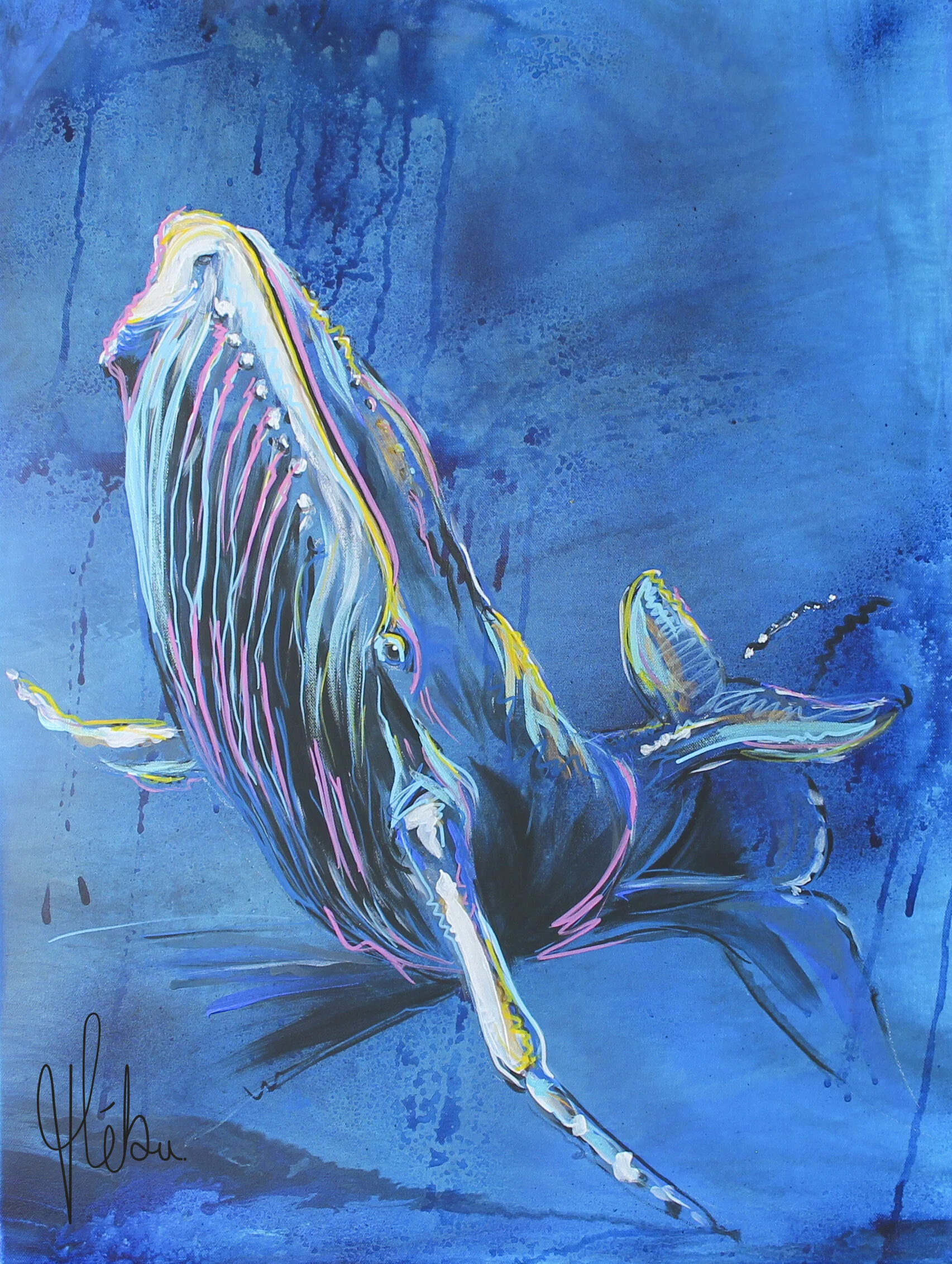baleine-vendu.jpg