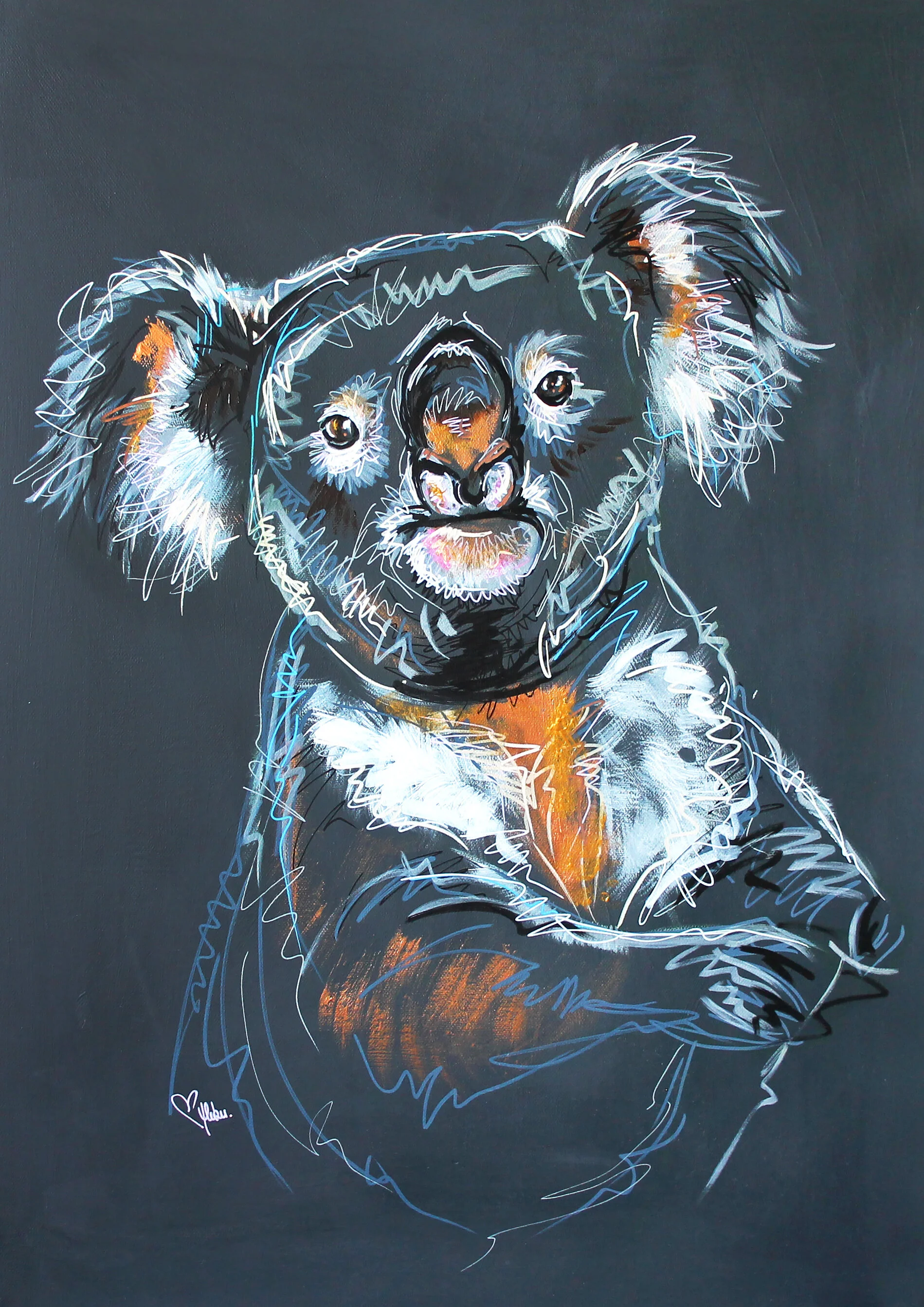Koala-vendu.jpg